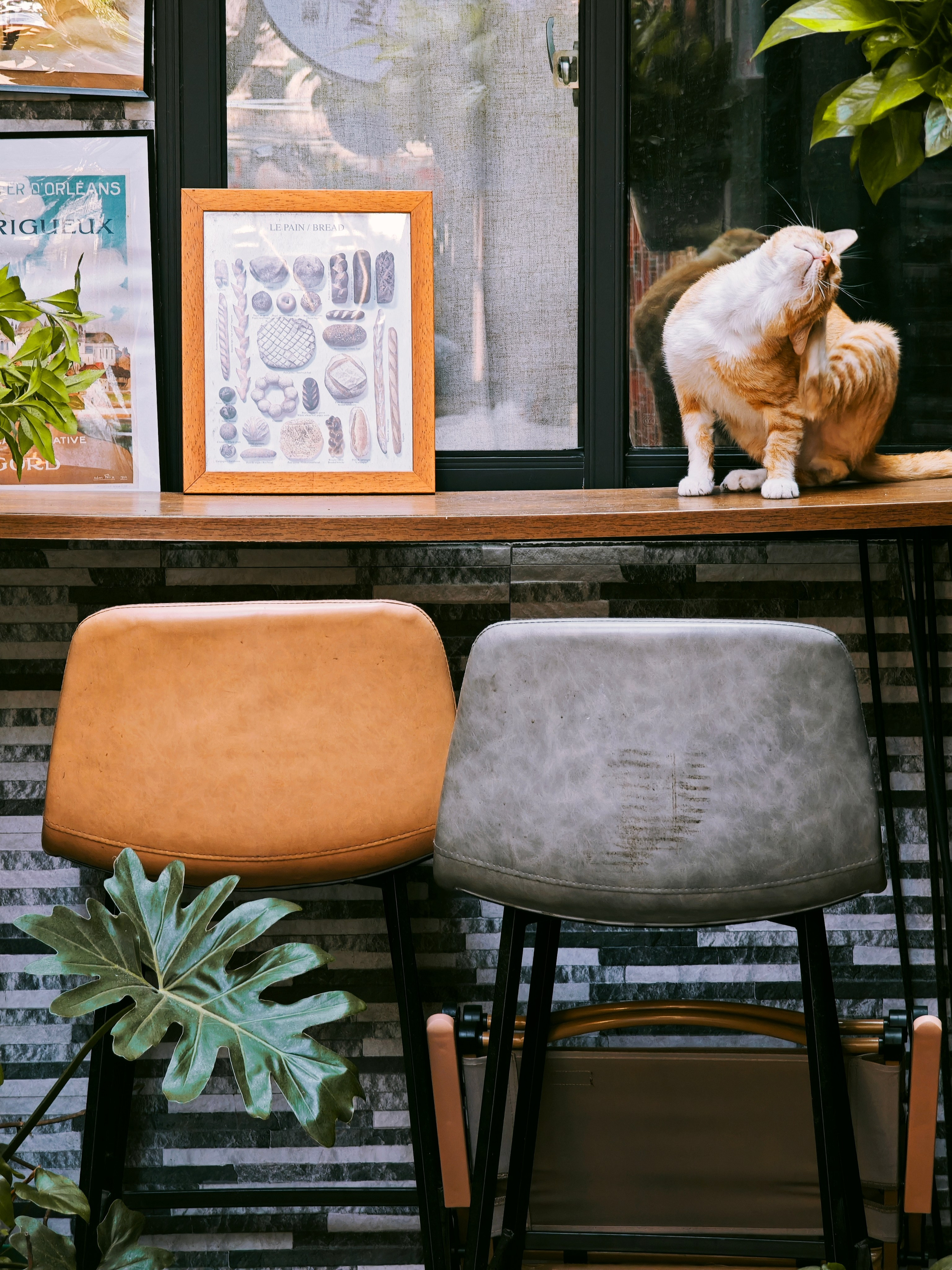 The Great Journey to China. Brjankin.com