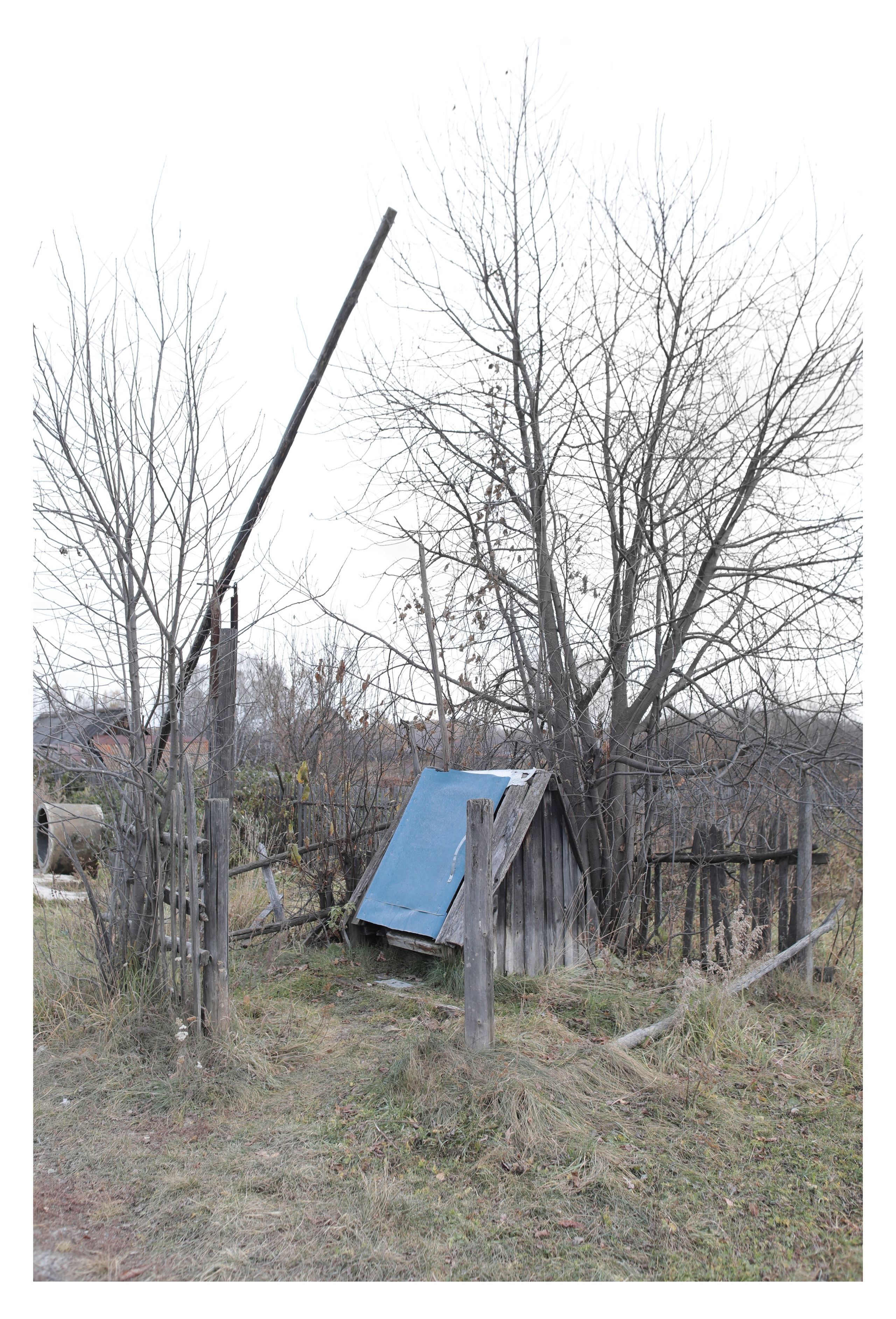 ДЕРЕВНЯ. Фотограф Манакова Ольга