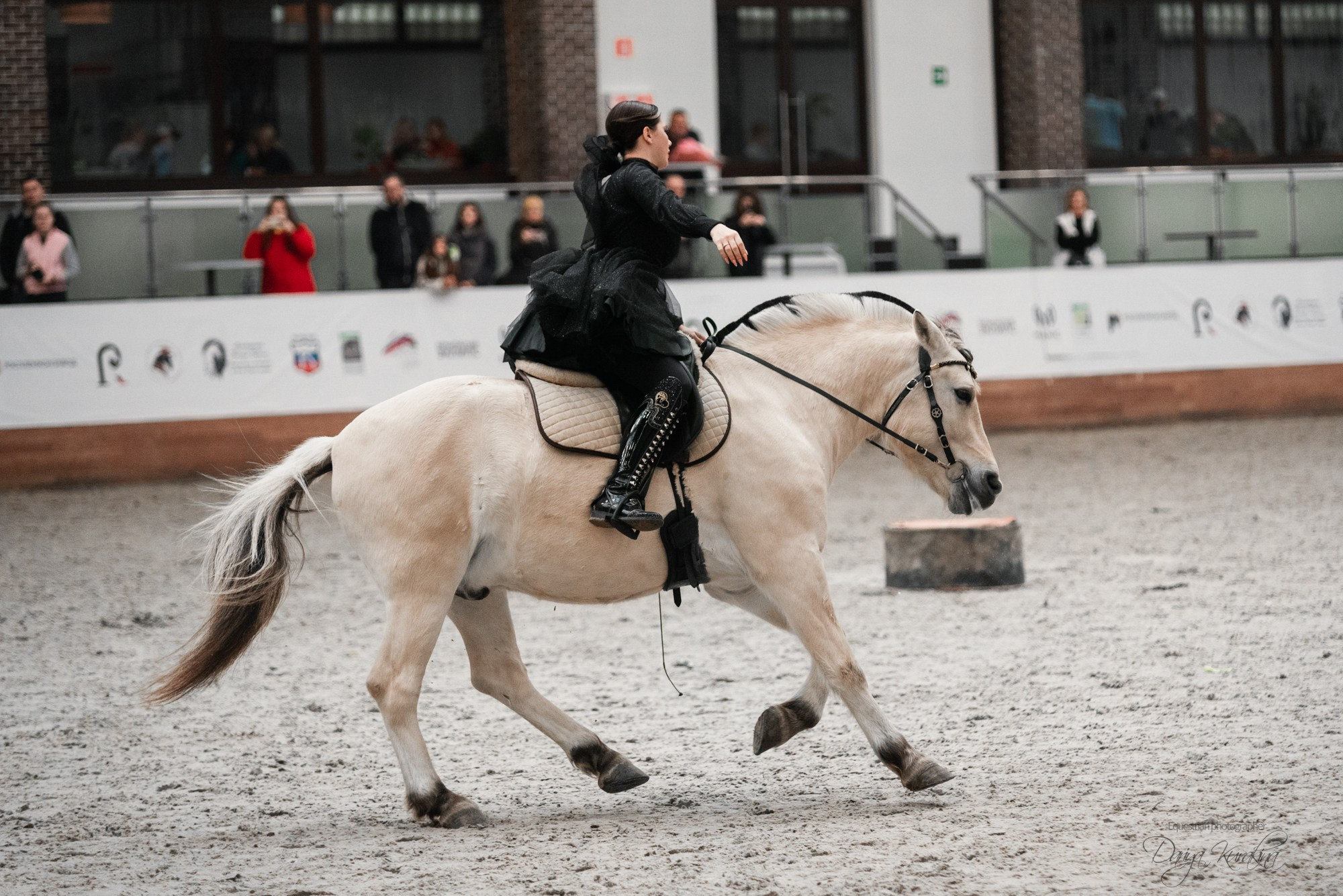 8-я международная выставка Конная Россия. Конный фотограф Куракина Дарья • Фотосессии с лошадьми