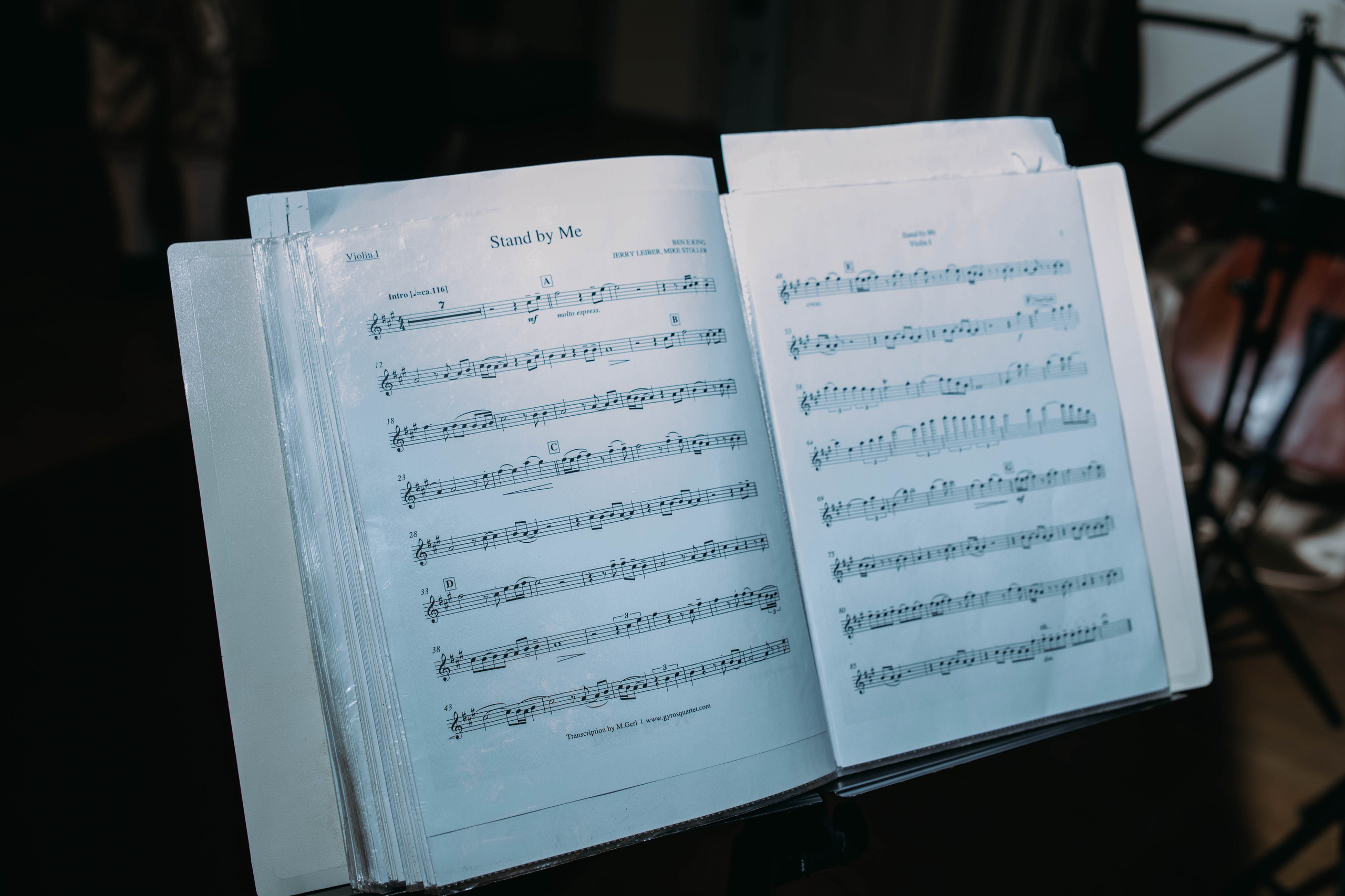 Анэстейша и Евгений. Профессиональный фотограф