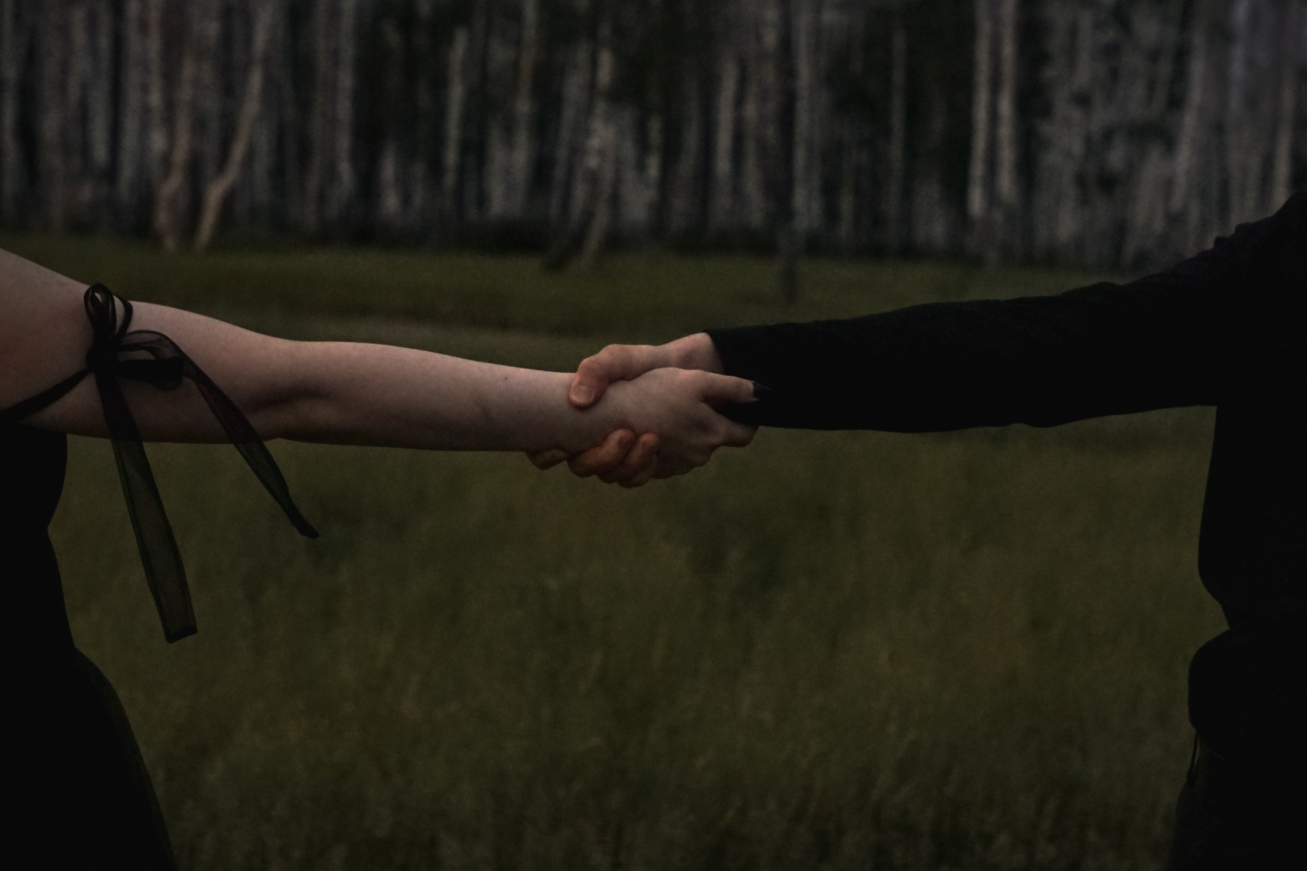 Наслаждаясь тишиной