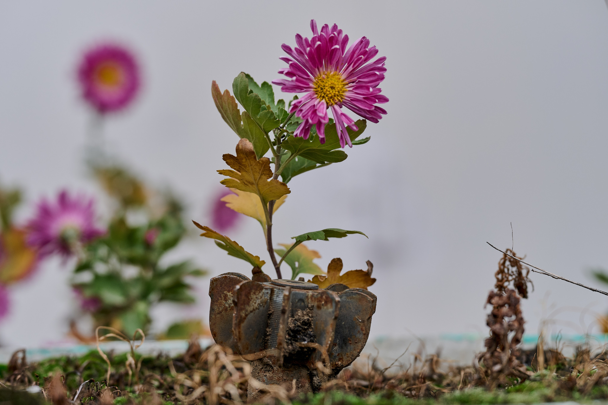 Рубежное. Луганская область. Фотопроект «Территории»