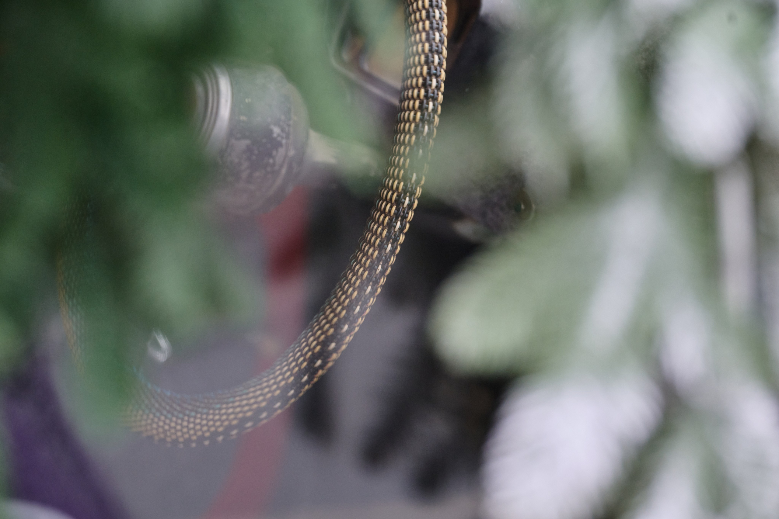 Луганск. Январь 2026. Фотопроект «Территории»