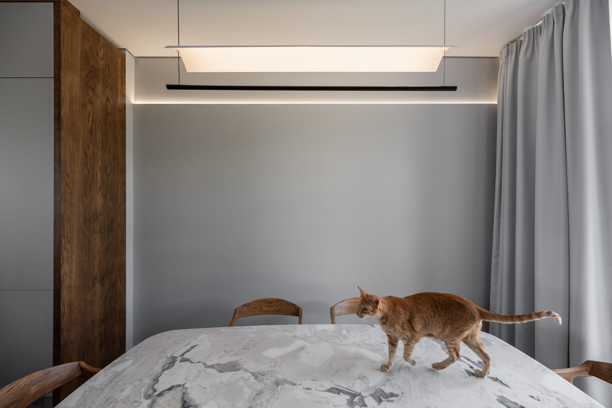 КОШКИН ДОМ | 2025. Архитектурный фотограф и 3D-художник Антон Мельников