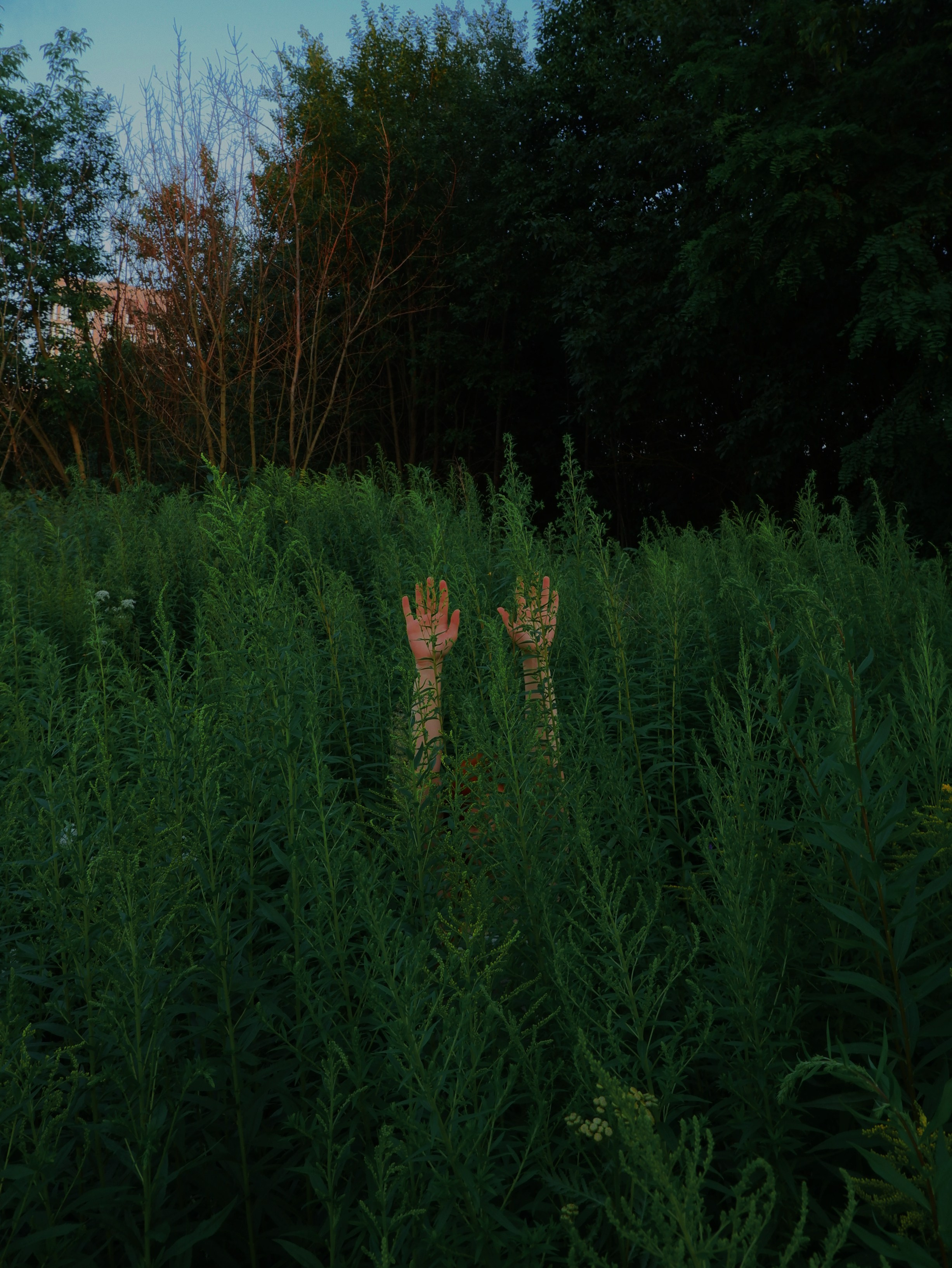 Все фото. Ева Мецгер — фотограф