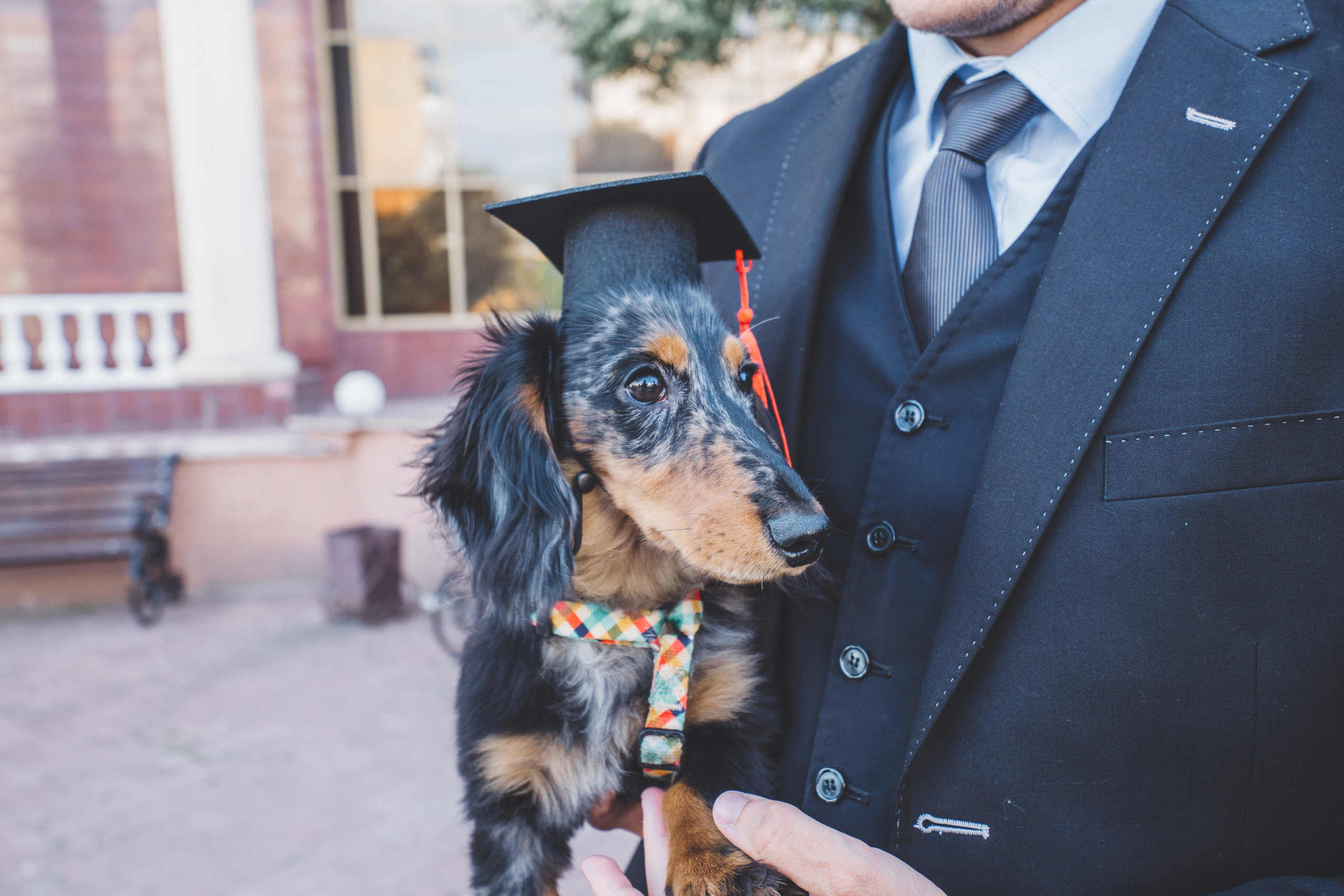 KSMU Students Graduation. Свадебный и семейный видеограф в Курске