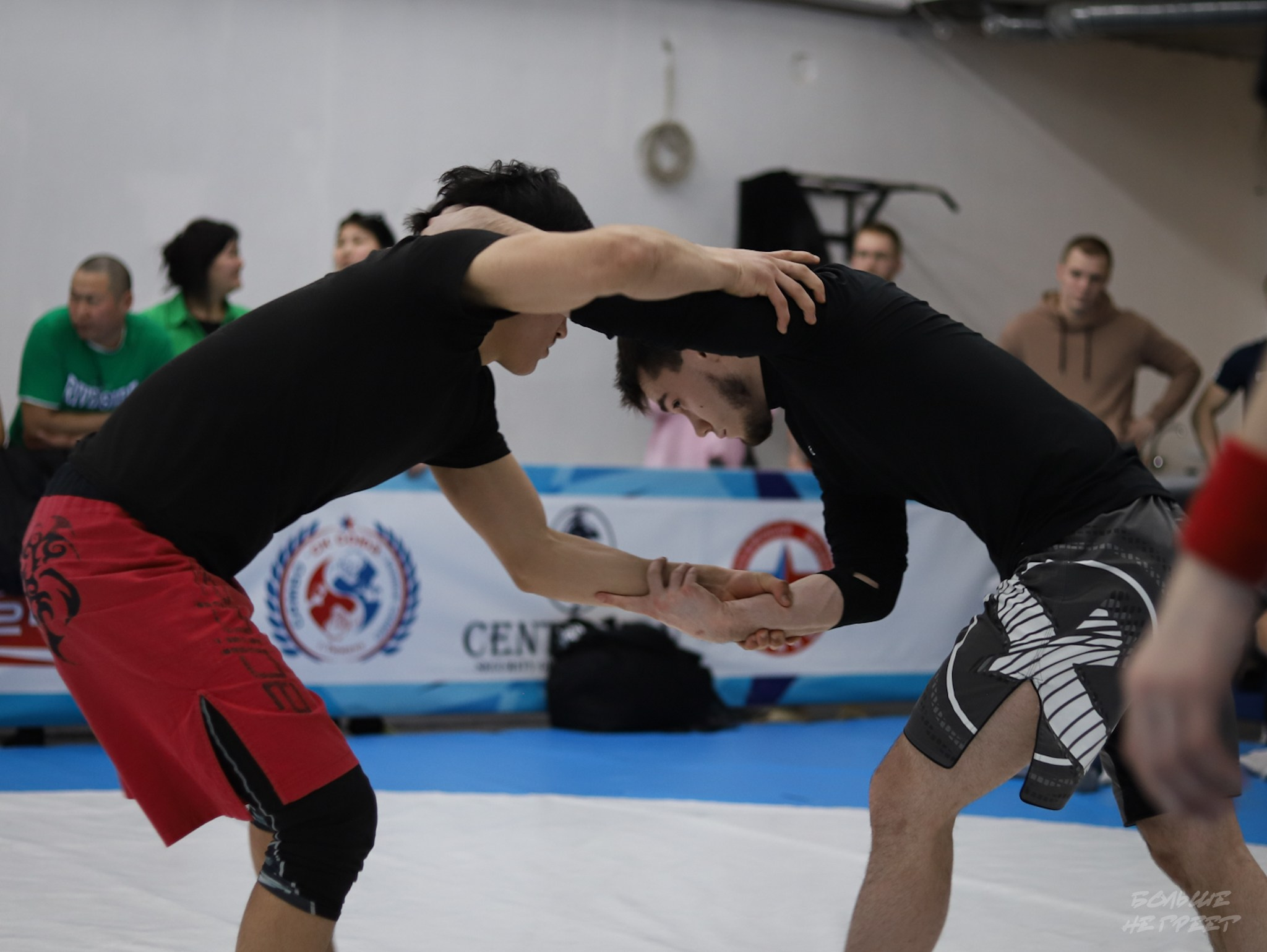 GORILLA PRIDE CUP. Больше не греет