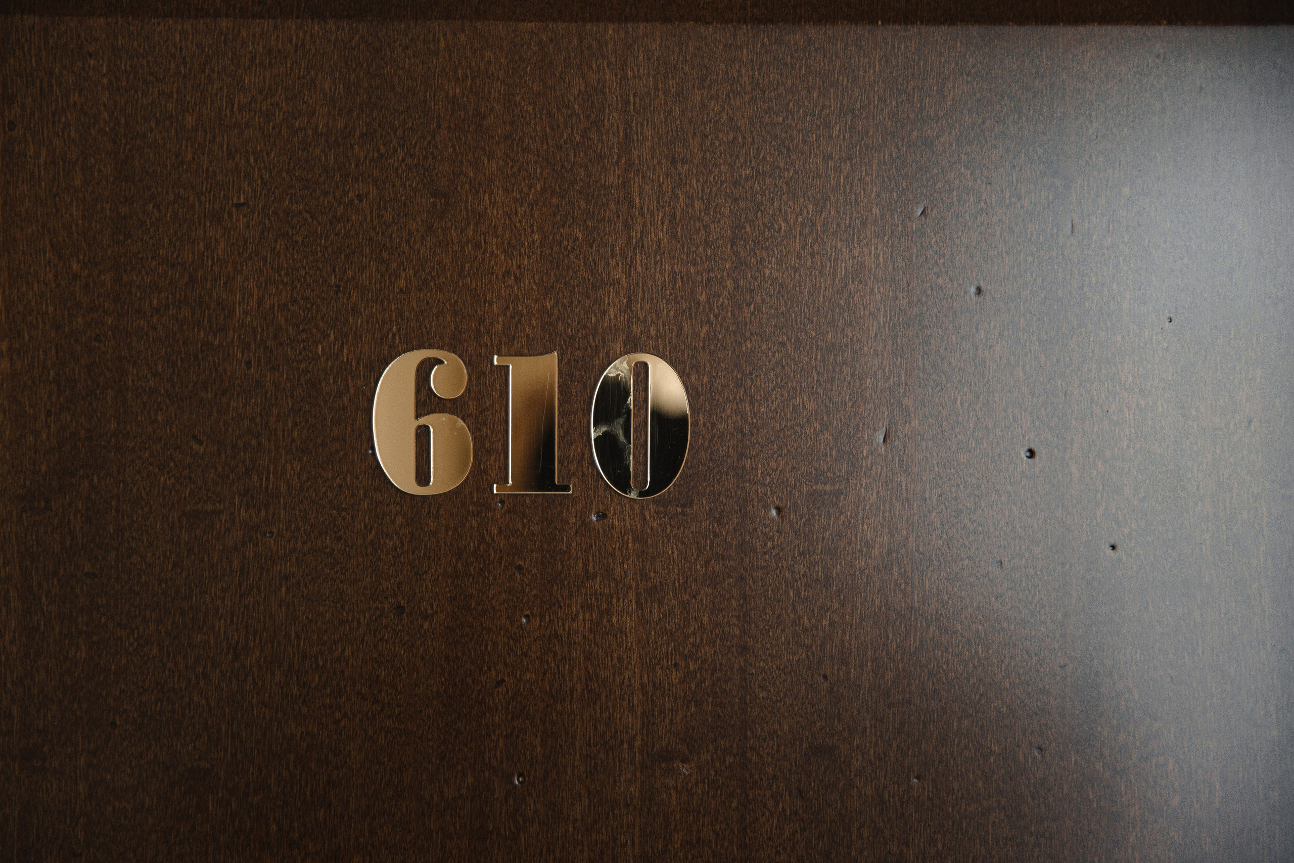 Уютная свадьба — Аскар и Катя на Марсовом поле. Свадебный фотограф в Оренбурге Илья Володьков