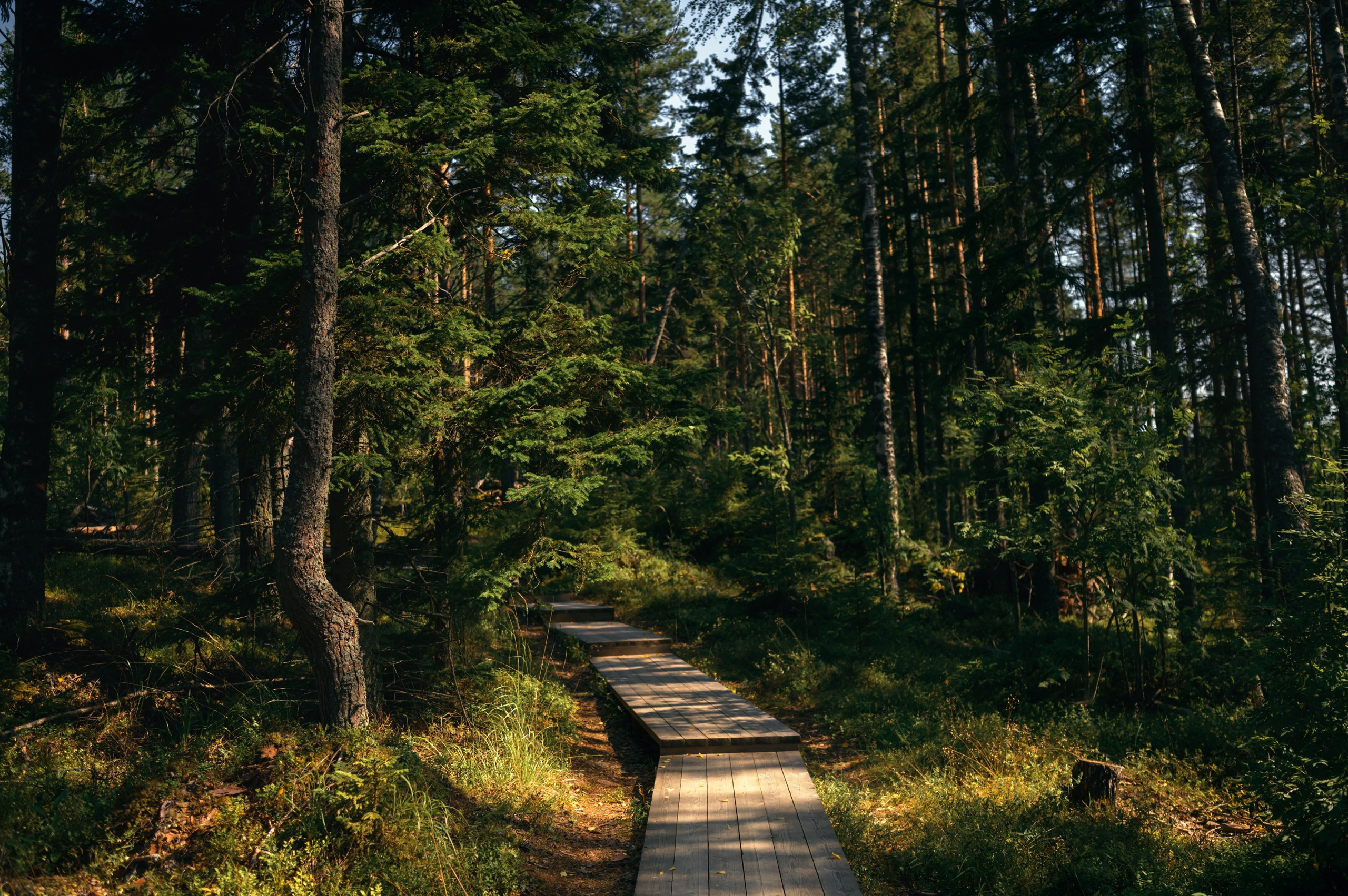 Карелия. Komonev