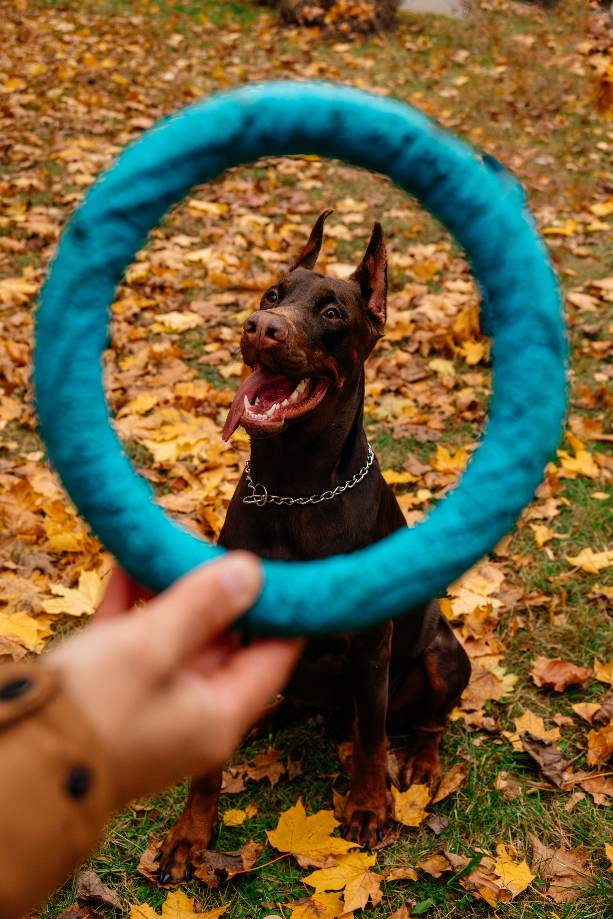 Семья Стенцель. Юлия Чайко, фотограф в Минске