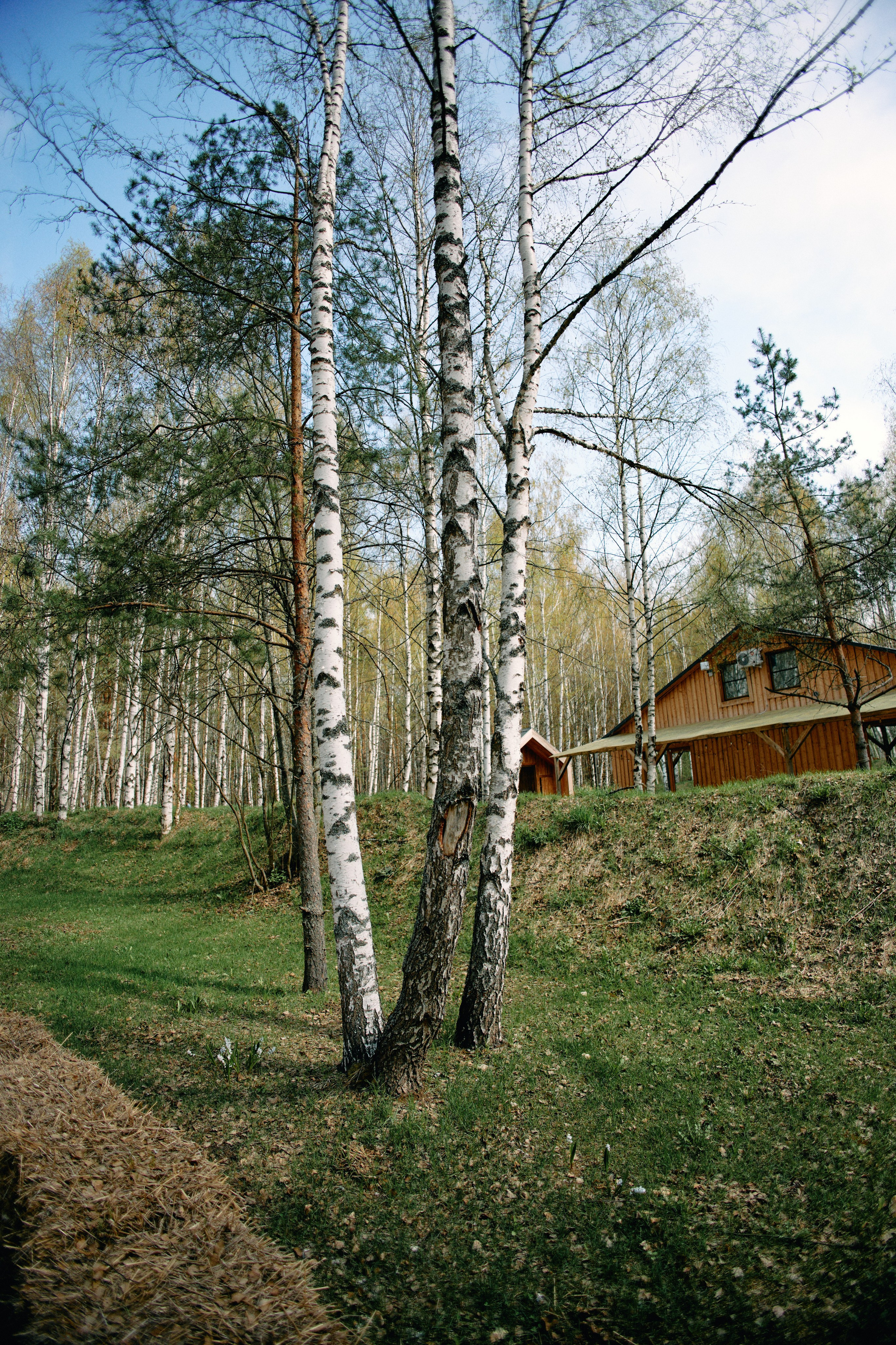Бутик-отель Поле летом. Профессиональный Фотограф во Владимире, в Москве и в Суздале — Полина Романычева