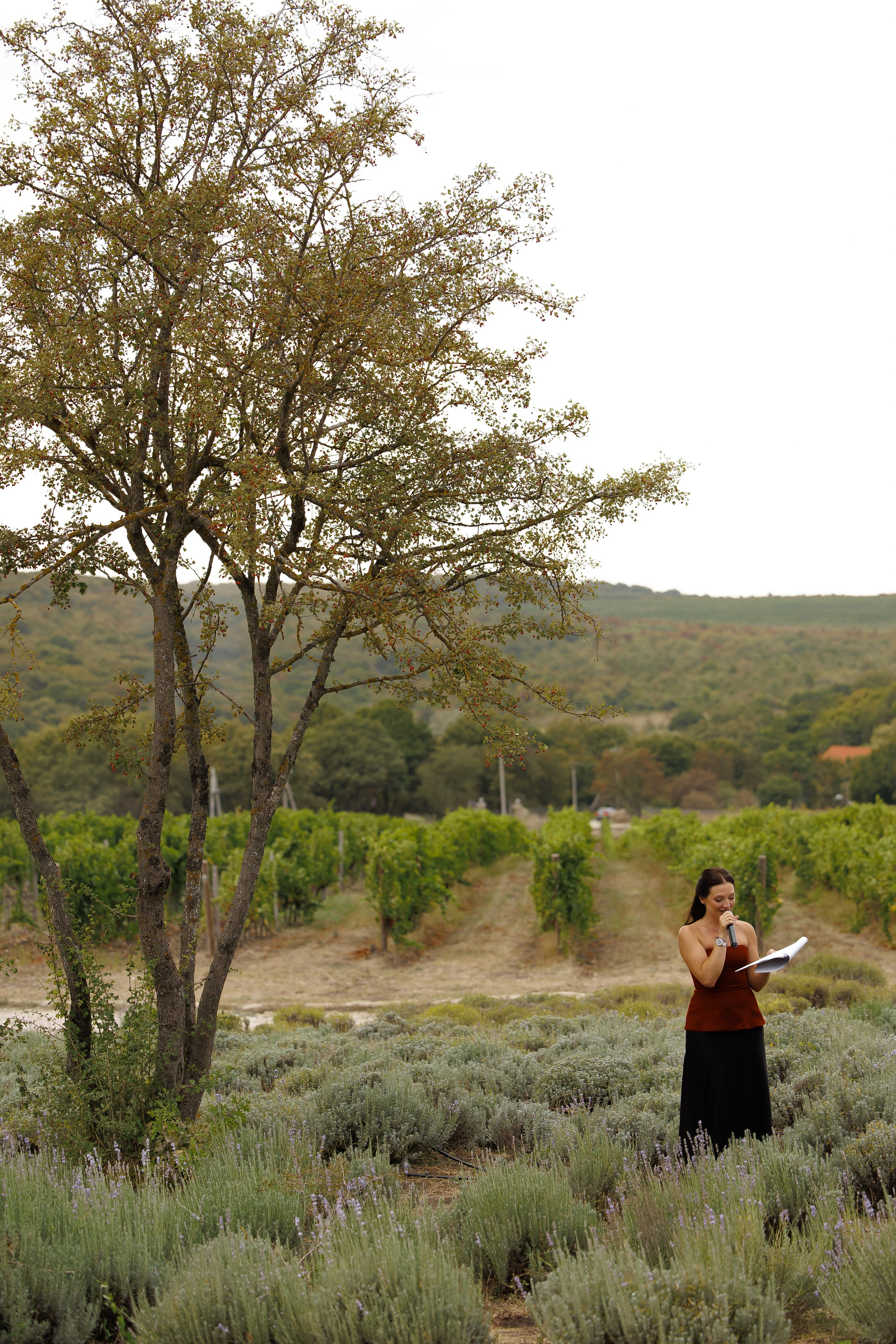 Wedding N&V. Свадебный фотограф Краснодар Юлия Ткаченко