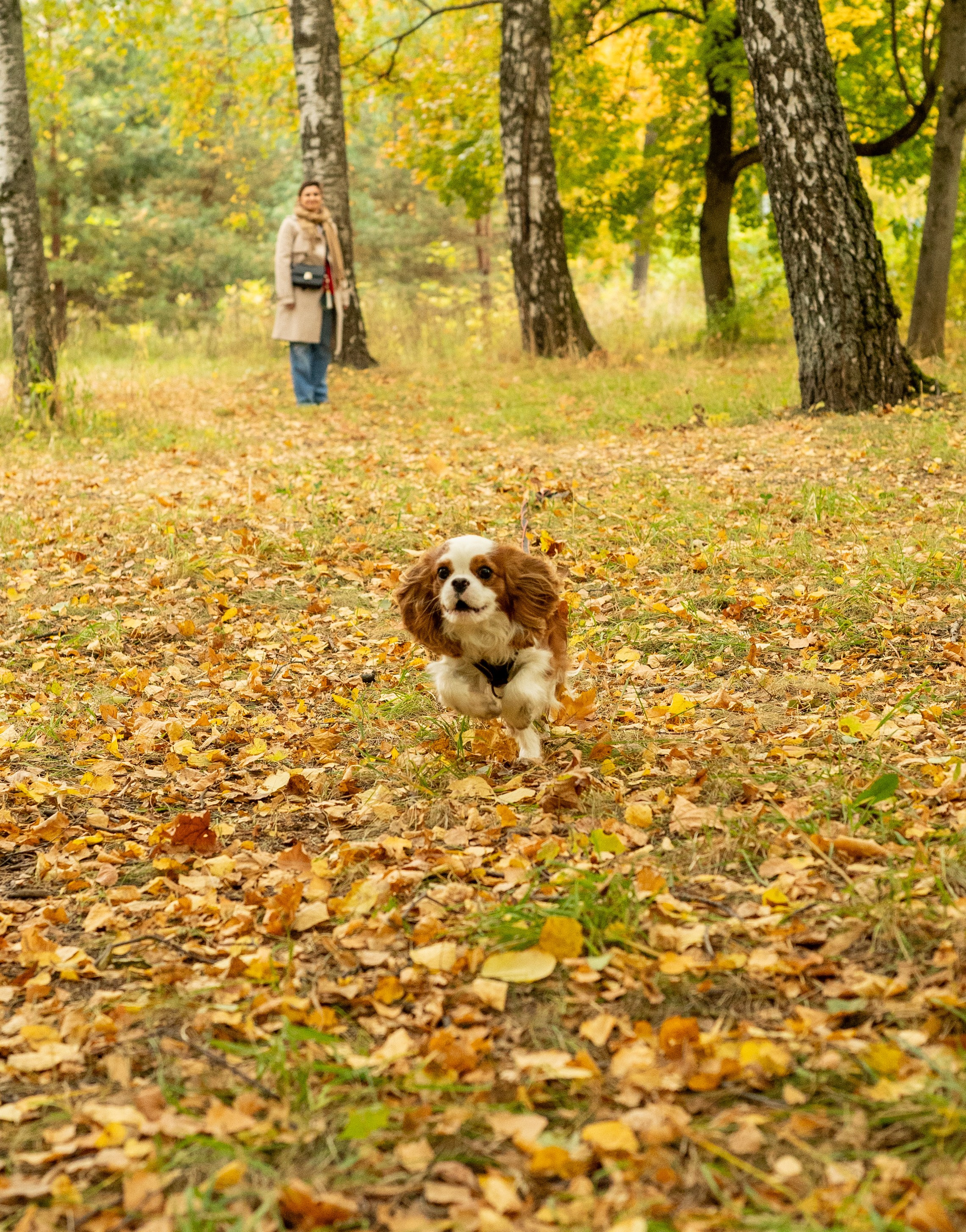 Портрет не в студии. Фотосессия портрет, ню, будуар, стрит фотограф Москва Юлия Кафизова