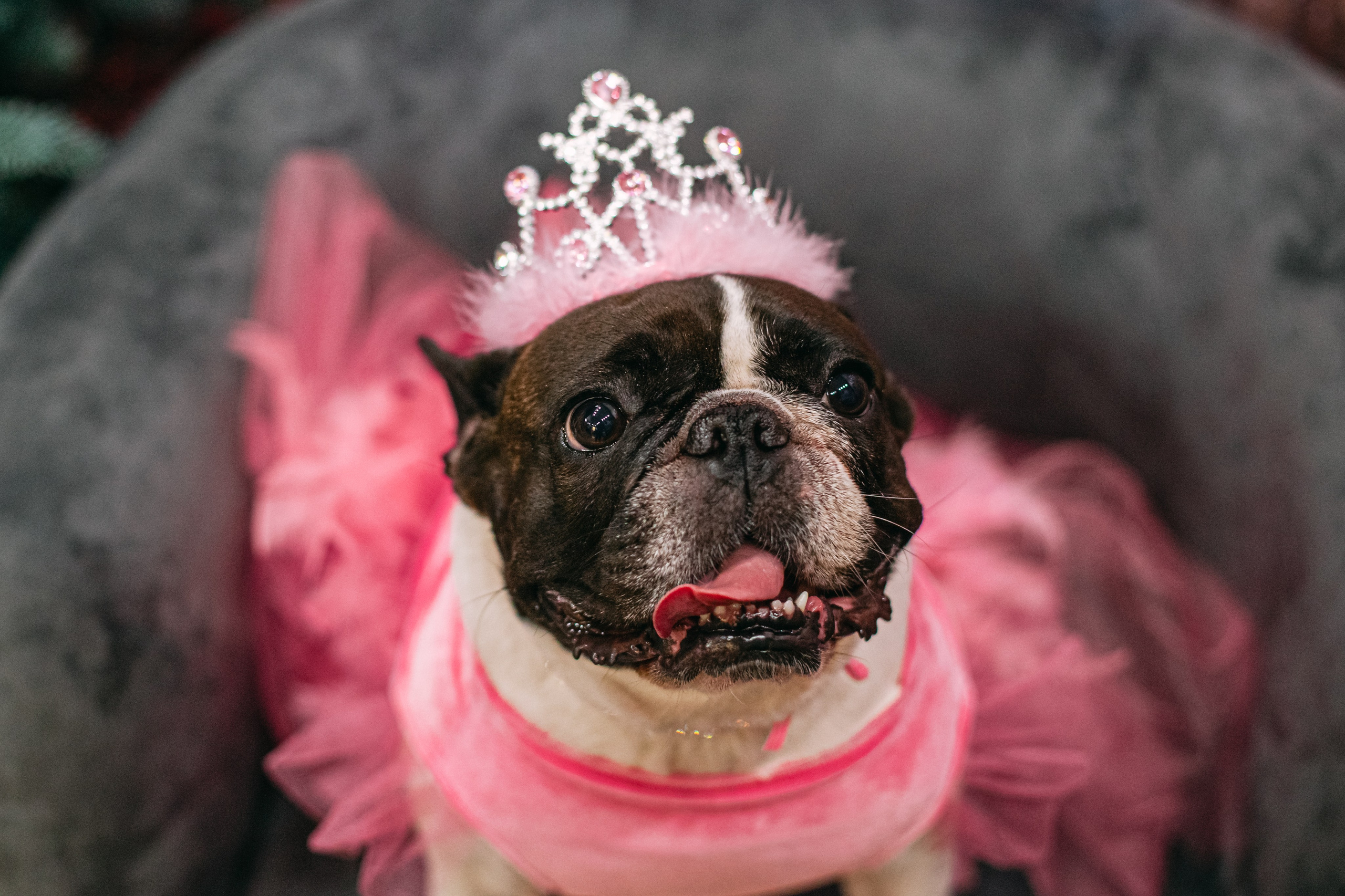 Бульёлка 2024. Фотограф-анималист Татьяна Степанова