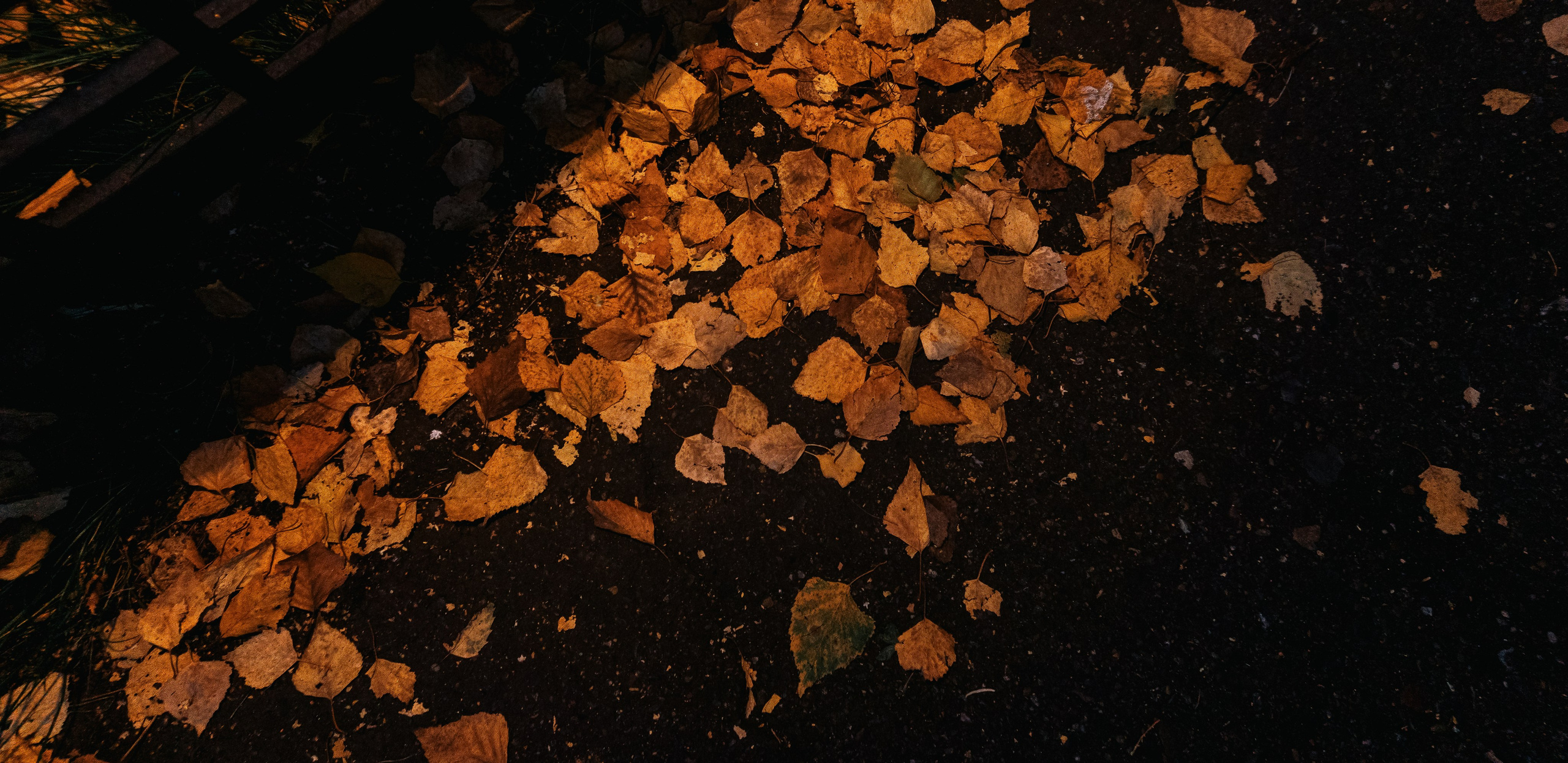 21.09.2025 | Красноярск. Kuznetsov | Фотограф в Красноярске