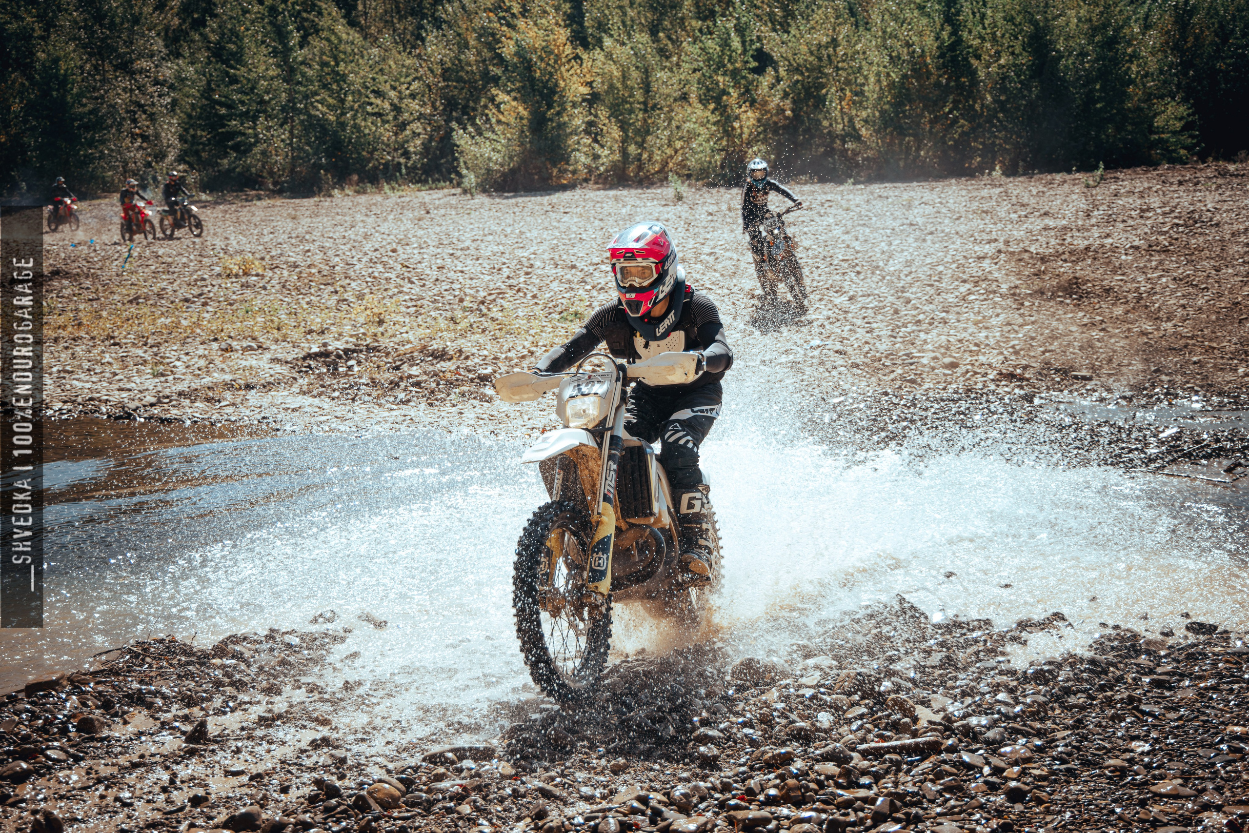 1 лесной день. Ваш экстрим фотограф Кудрева Яна