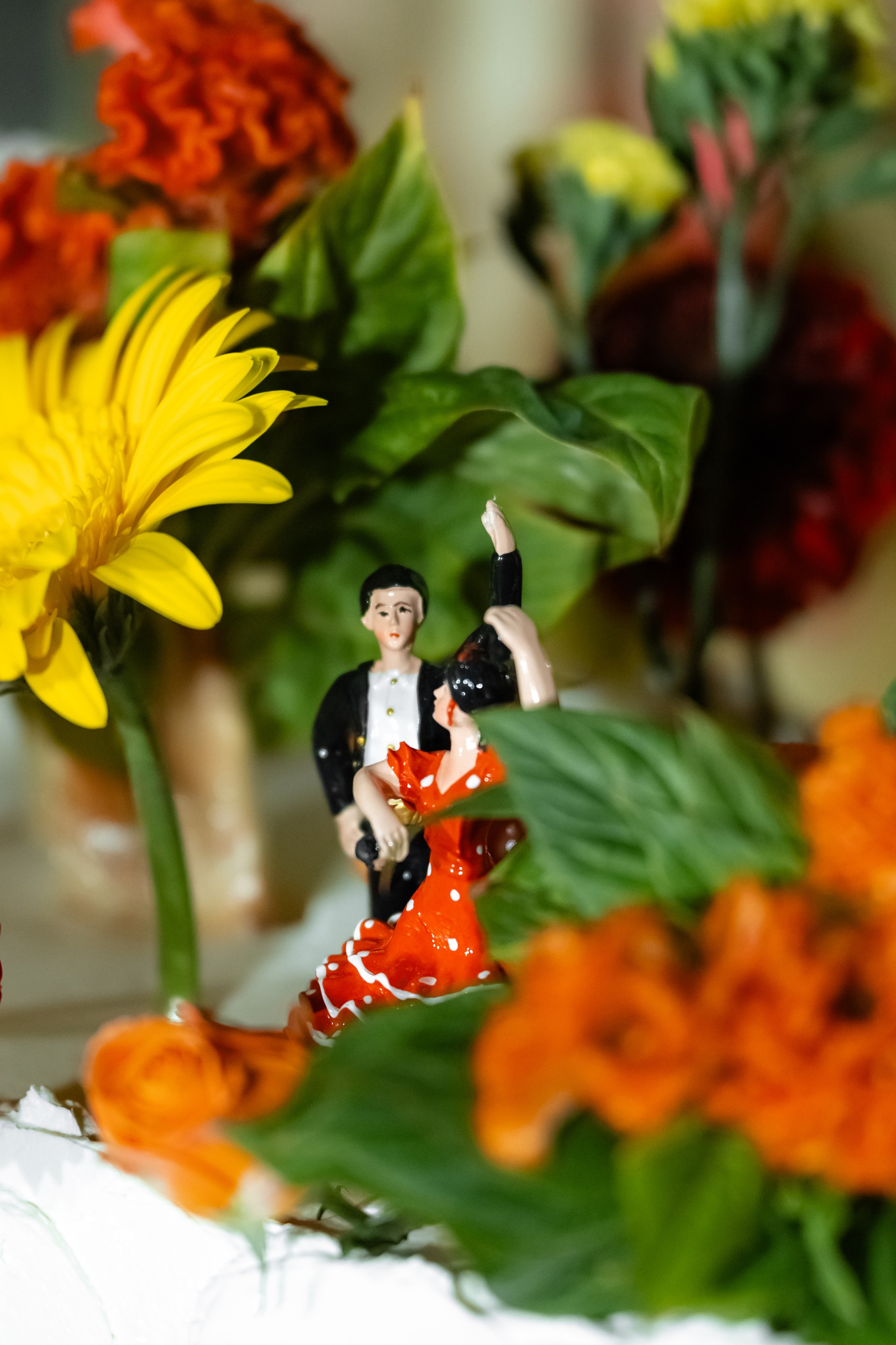 Георгий и Габи. Свадебный фотограф Ростов-на- Дону, Краснодар, Москва