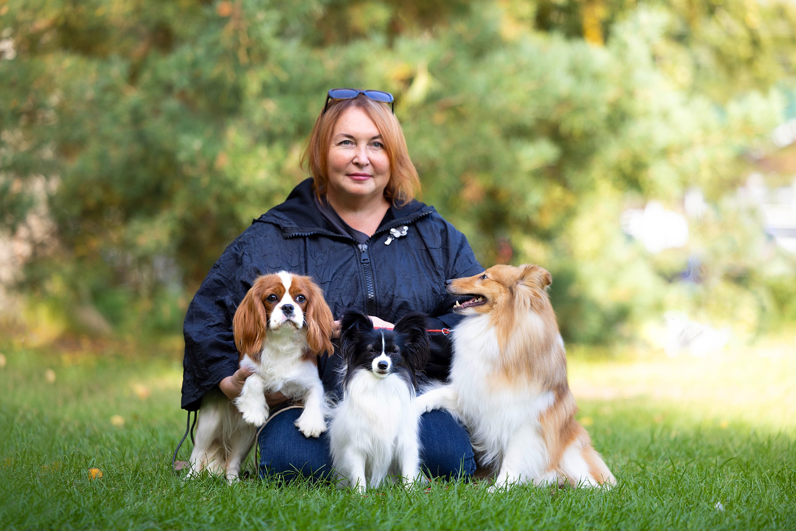 Заринговая съёмка на выставках собак. Фотограф-анималист в Омске Екатерина Маричева