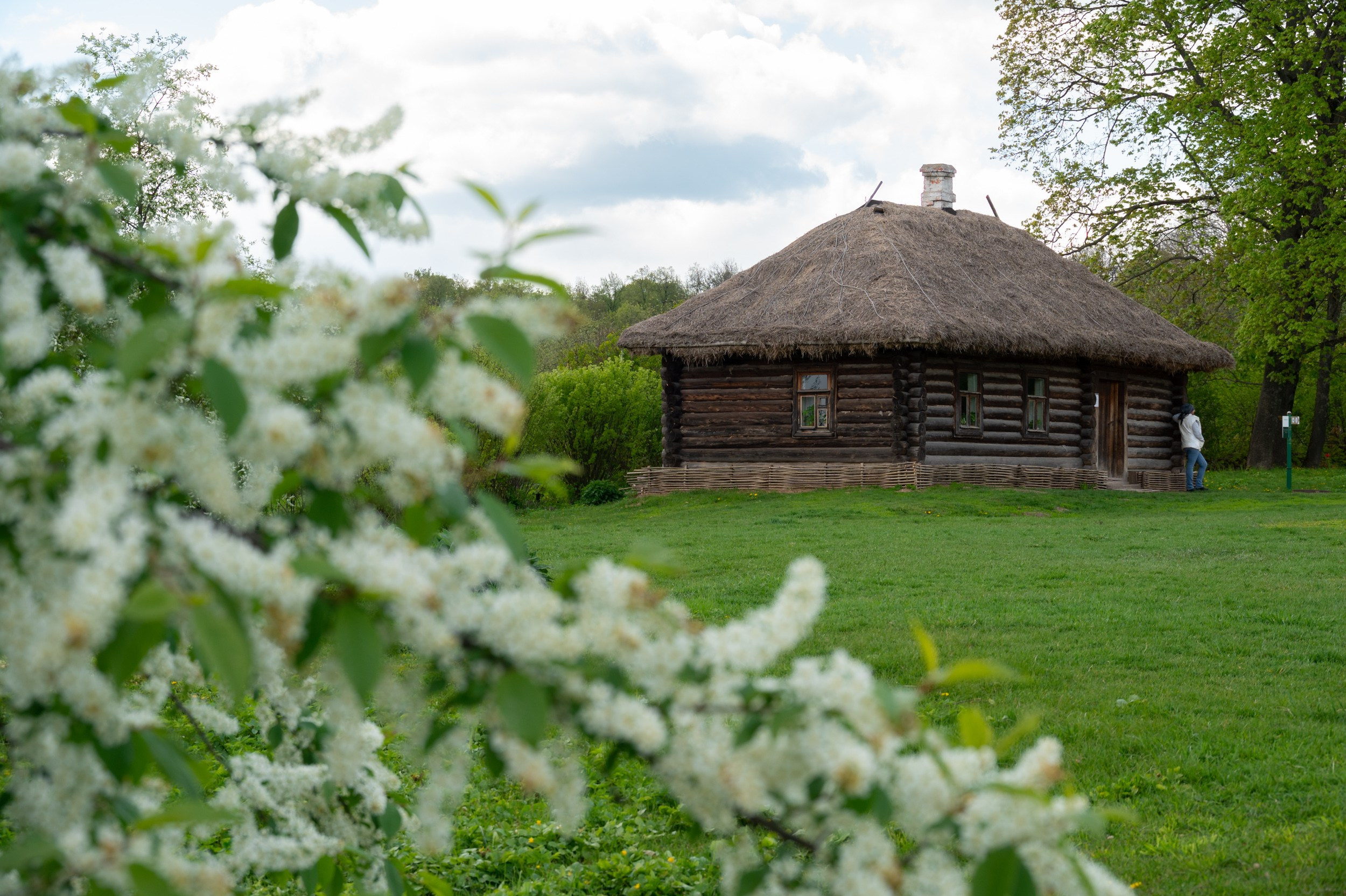 Ясная поляна. Фотограф и видеооператор в Туле | Даниил Рыбак