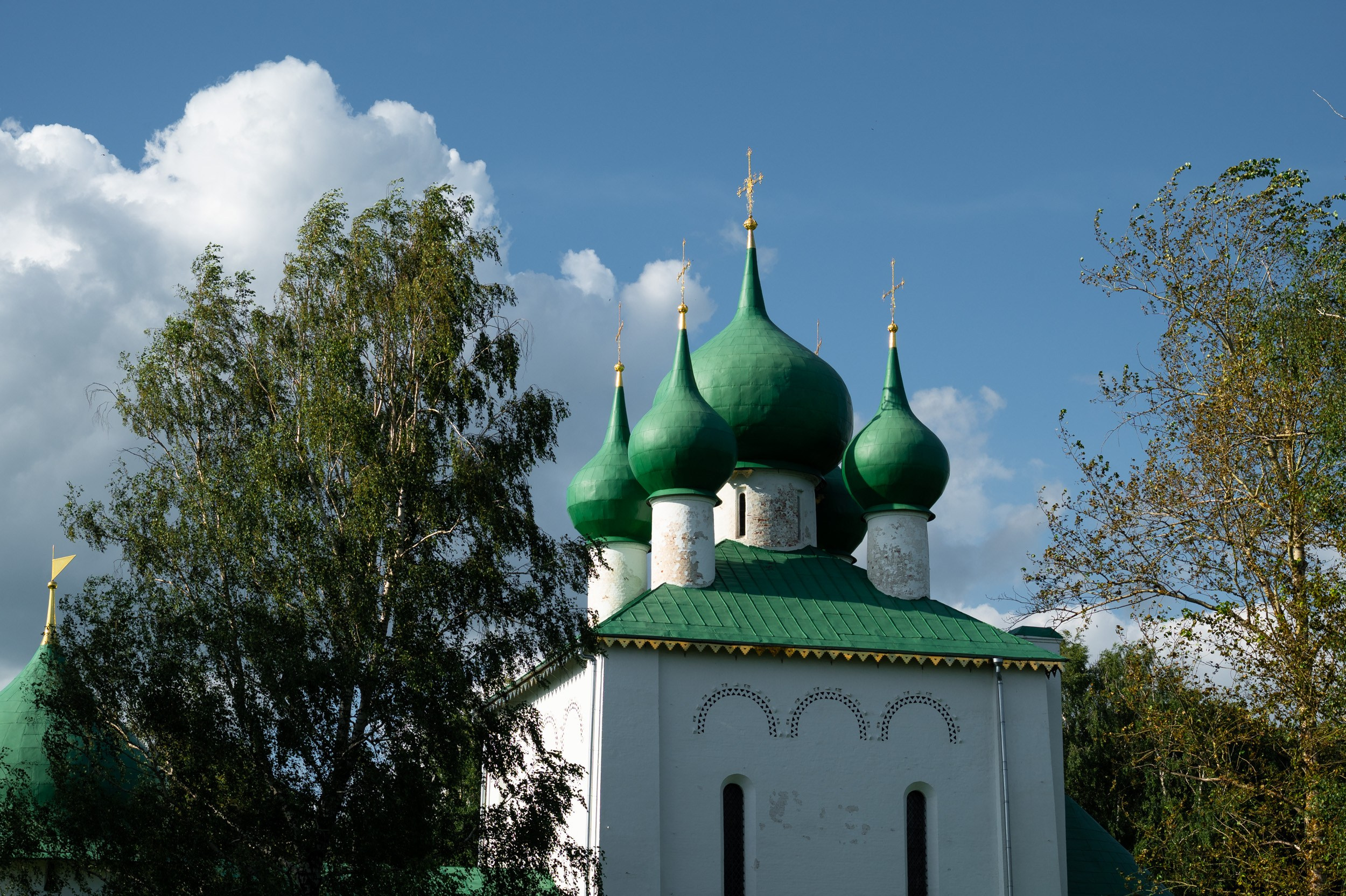 Куликово поле. Фотограф и видеооператор в Туле | Даниил Рыбак