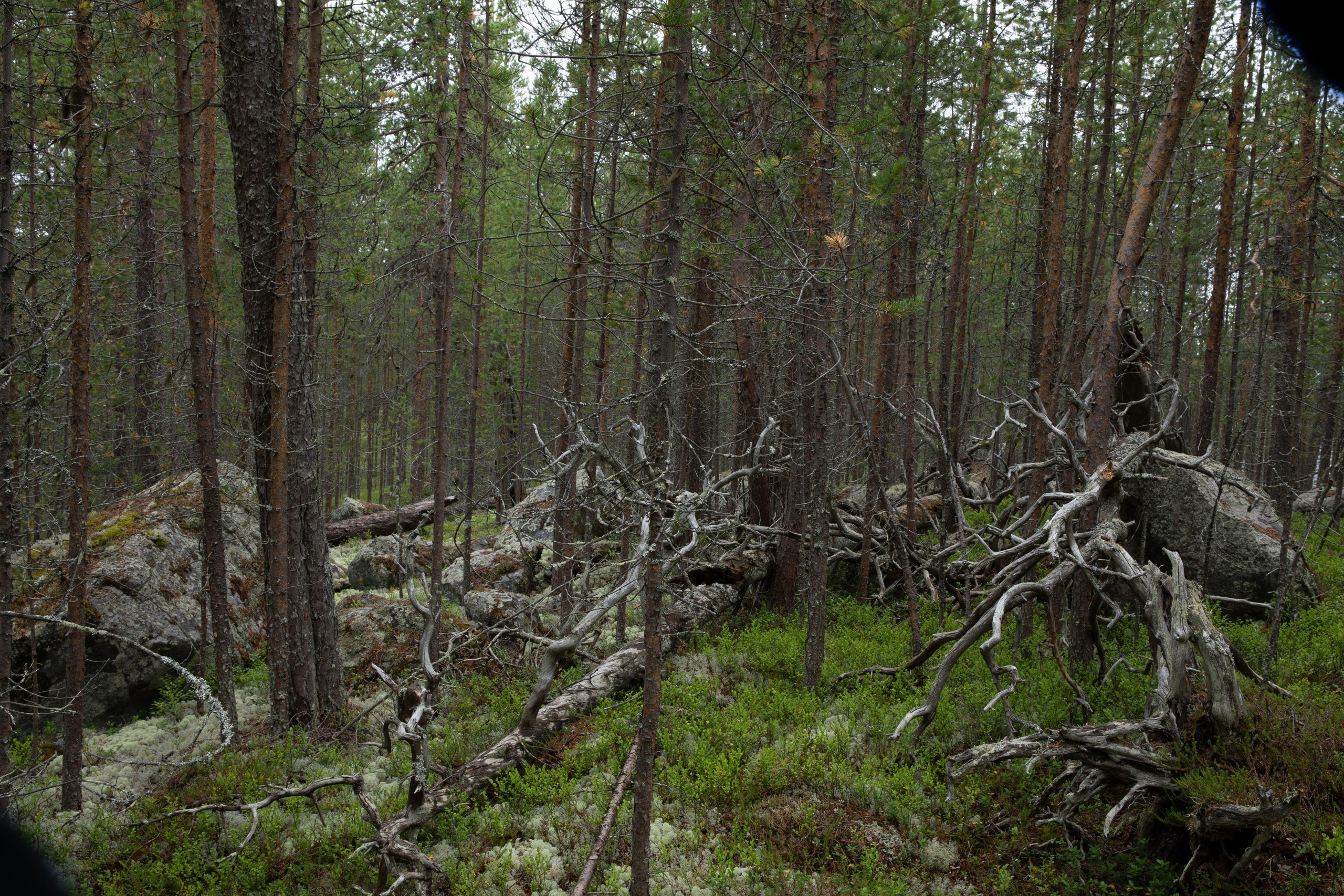 Оз. Колвицкое. Фотографии