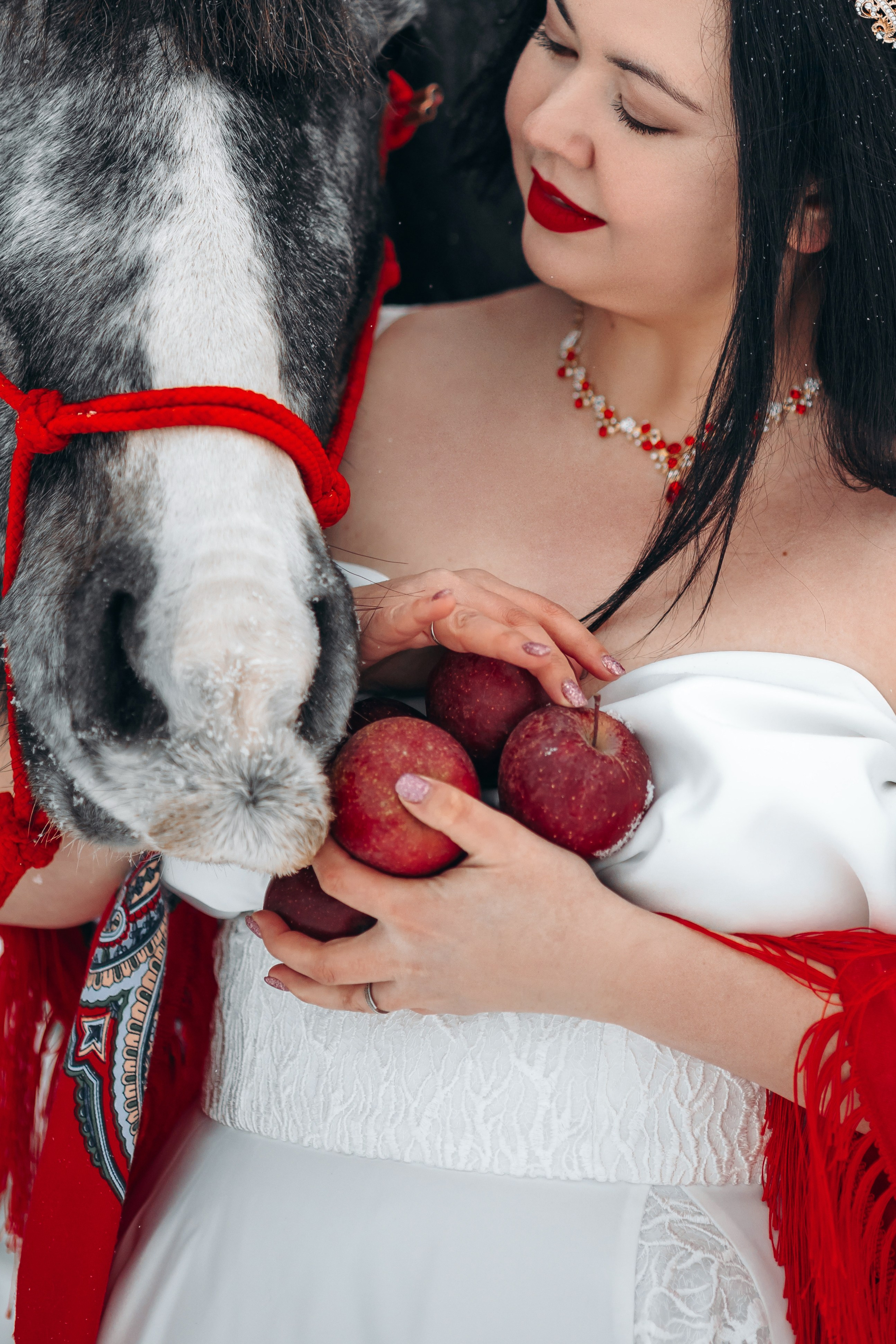 Яблоки на снегу. Анна Молчанова конный фотограф в Тюмени | фотосессии с лошадьми Тюмень