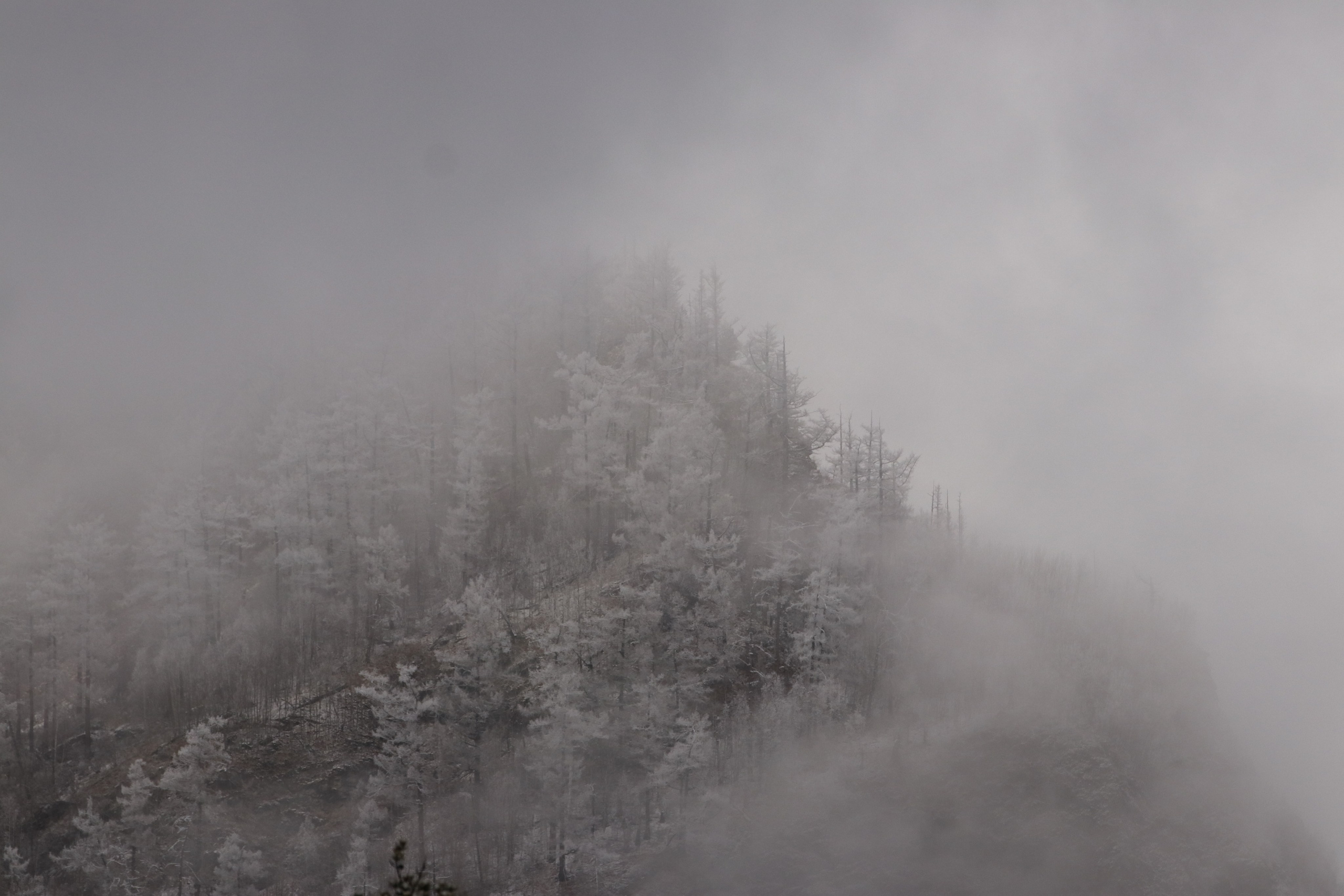 Аршан. Март 2023. Путешественник-фотограф из Санкт-Петербурга Татьяна Свистулина