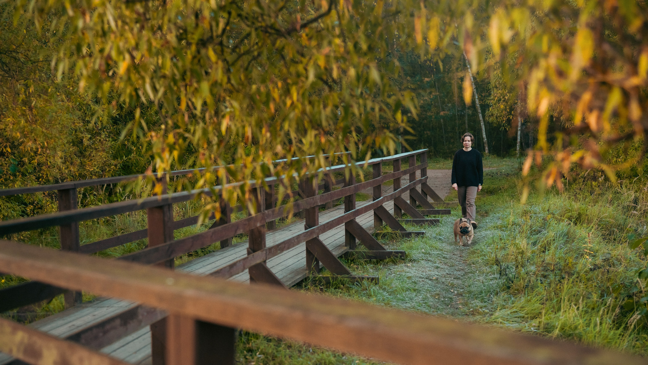 Анастасия и Бенц. Фотограф анималист в Москве и Санкт-Петербурге Свиридова Анна
