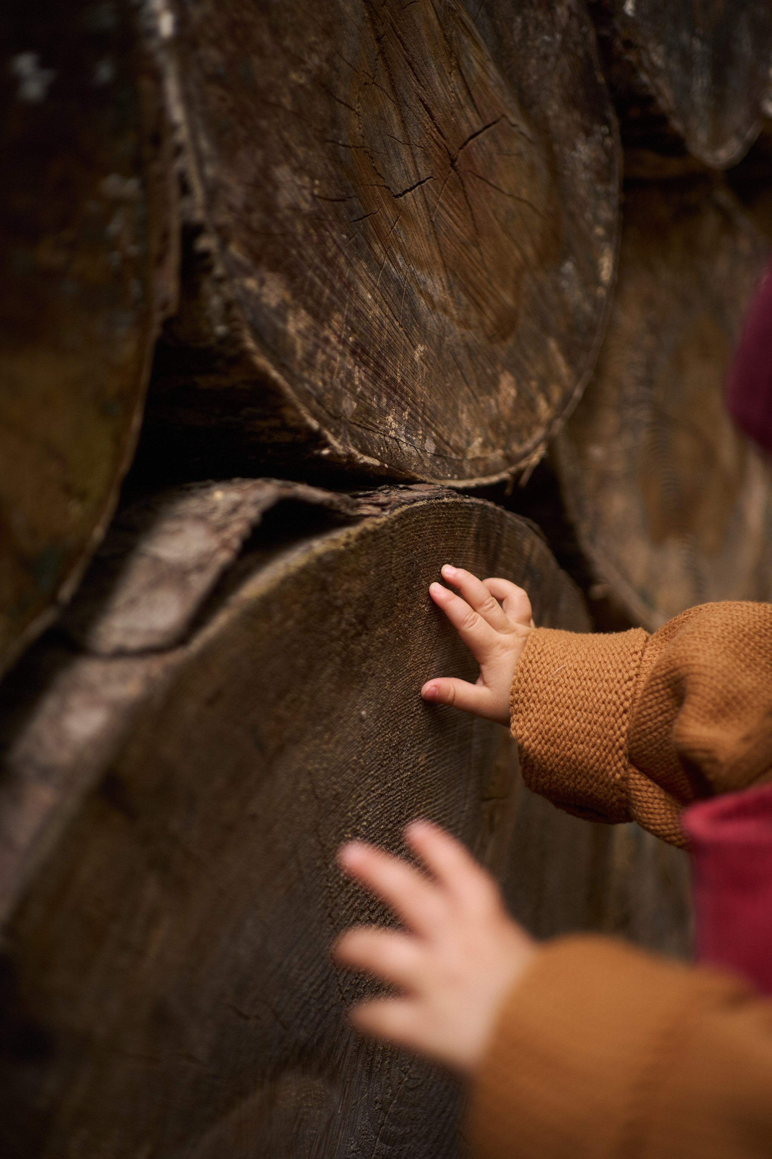 Первые шаги. Фотограф анималист Москва Дарья
