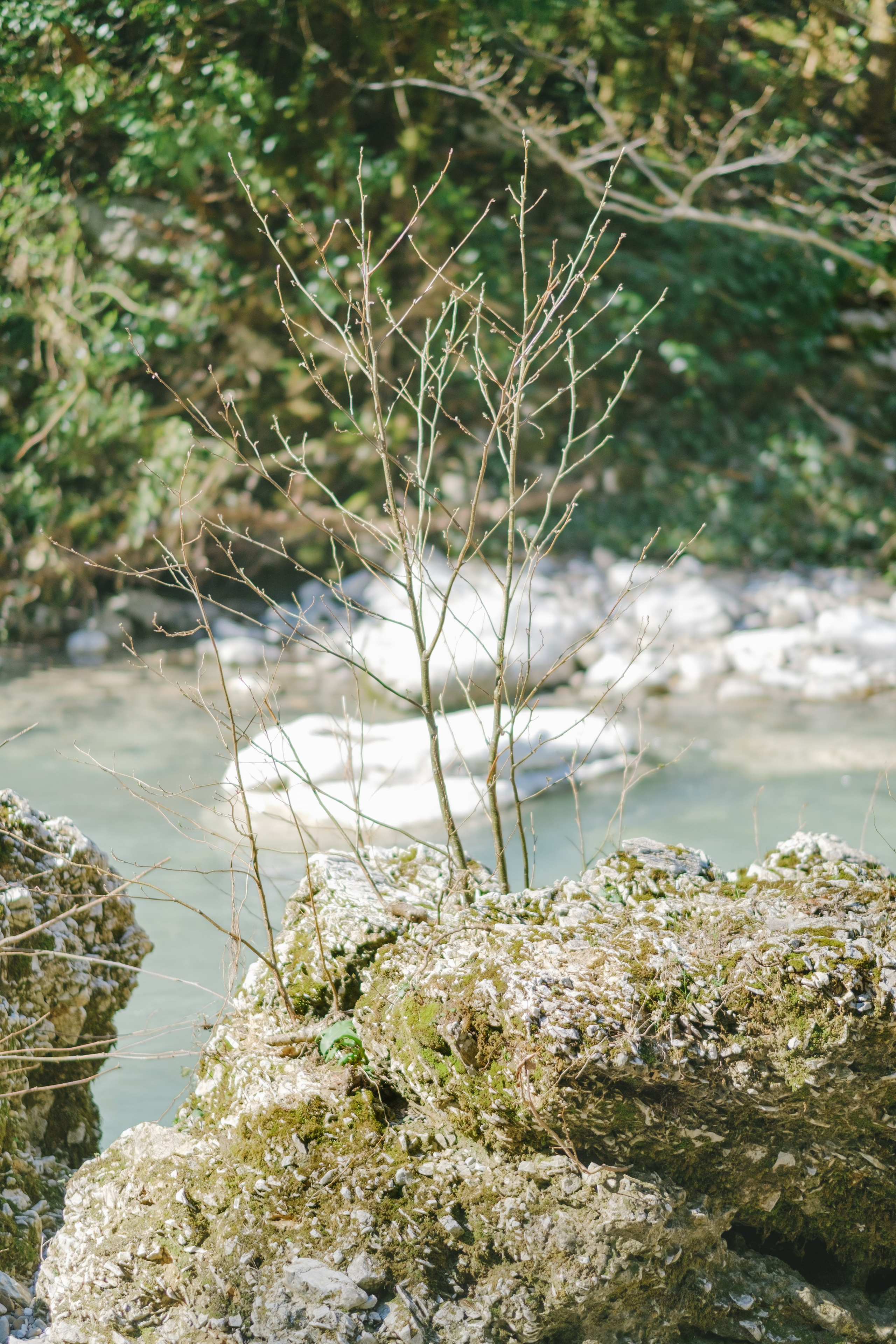 Белые скалы. Свадебный Видеограф Фотограф в Сочи