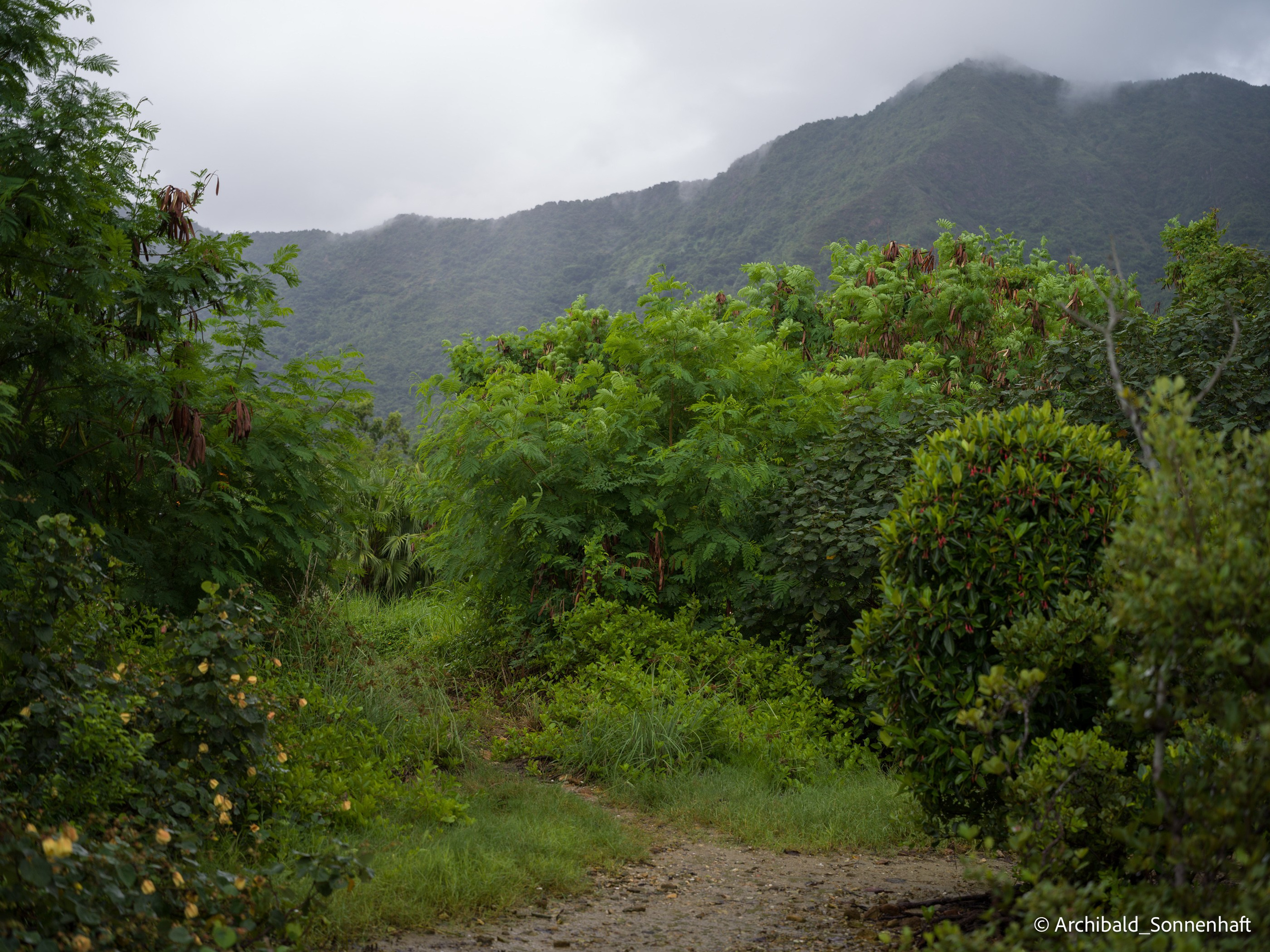 Kayaking. Photographer in Guangzhou, China. Archibald Sonnenhaft