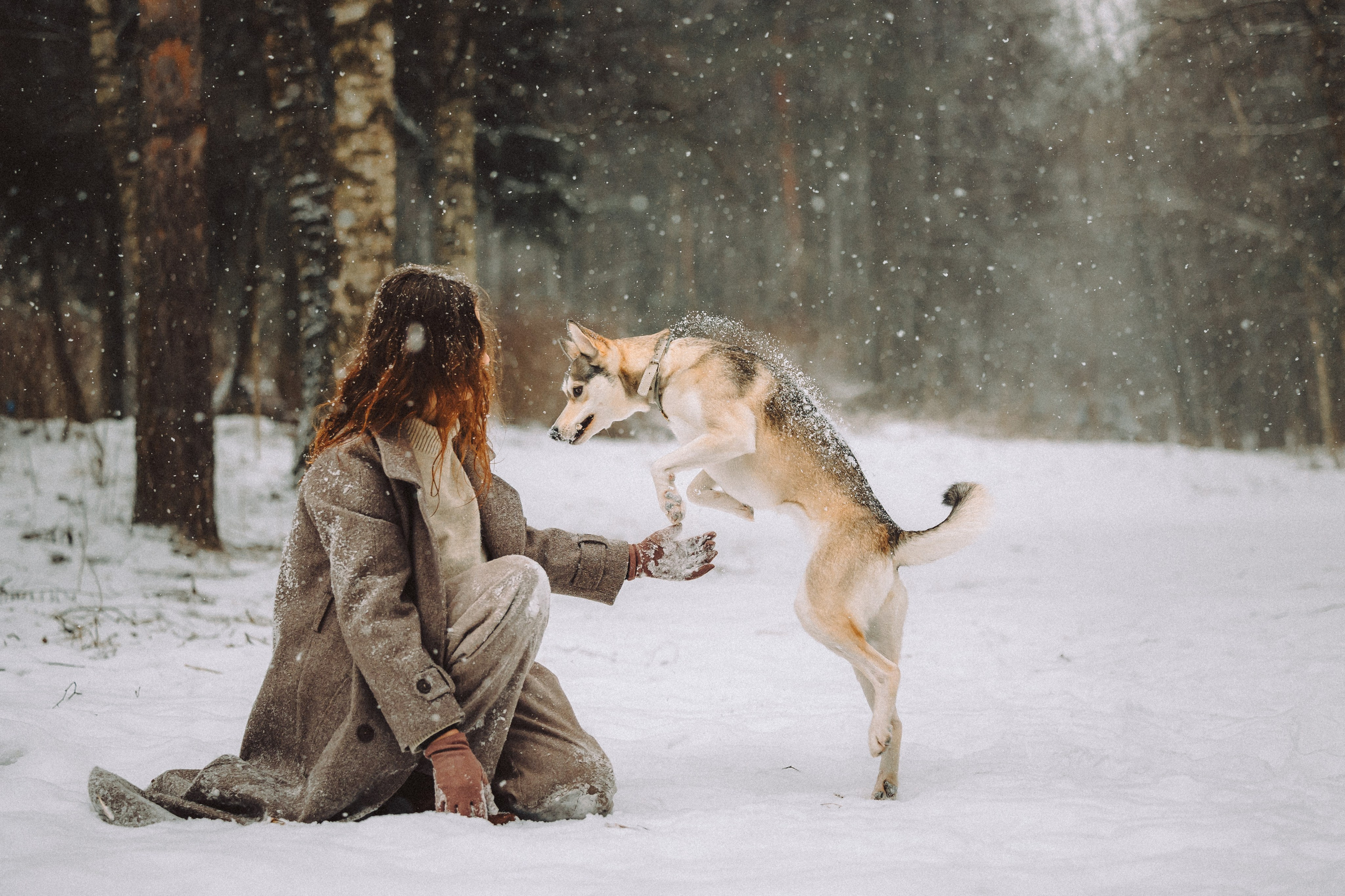 Аня и Рокси