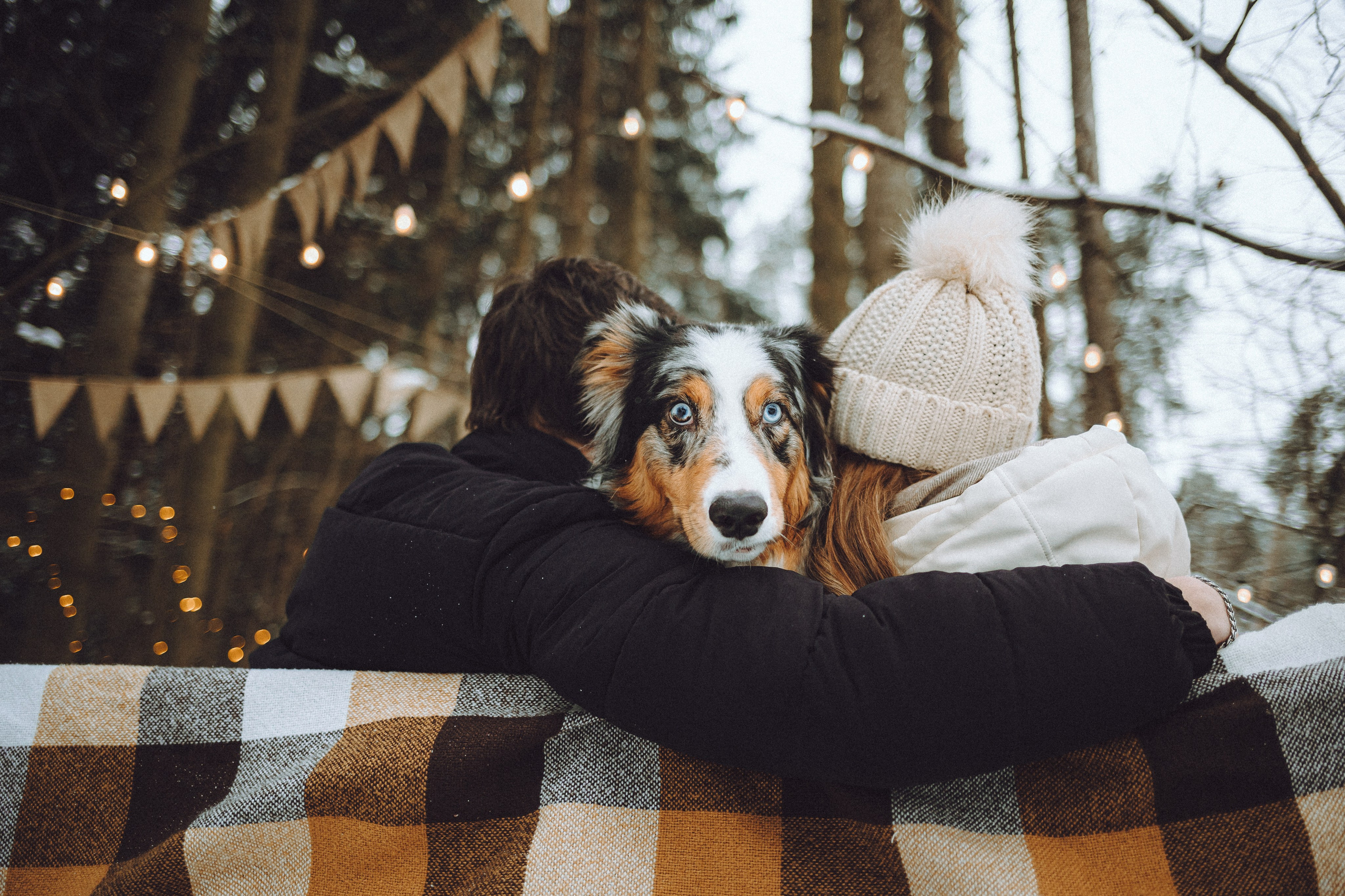 Фаня и ее семья