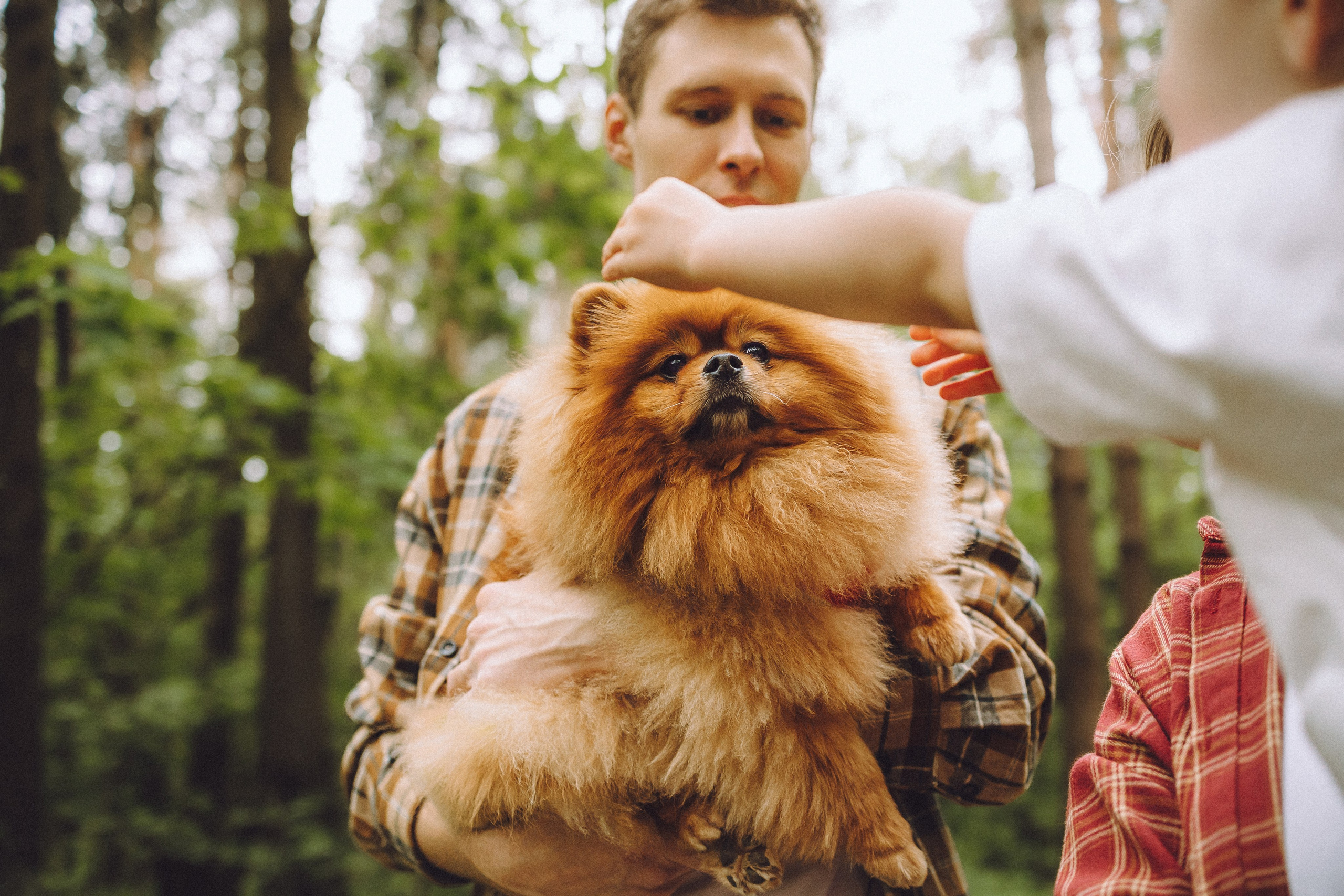 Лорик и его семья