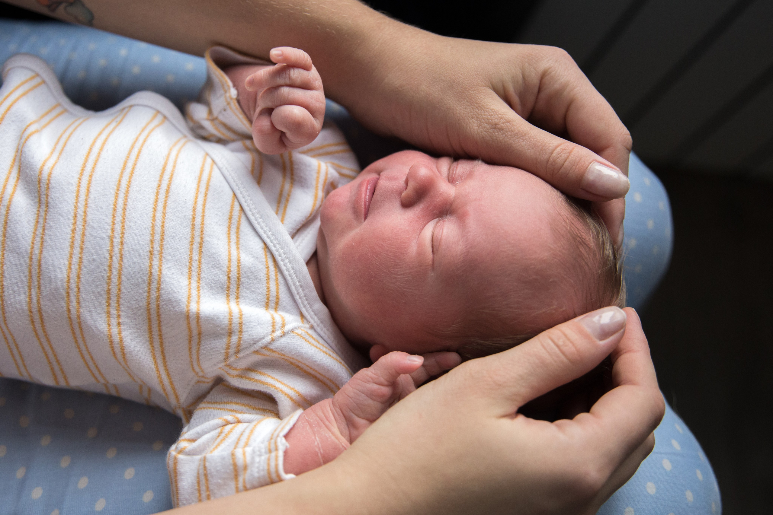 Аврора и Алиса. Семейный и школьный фотограф в Москве Анна Ткач