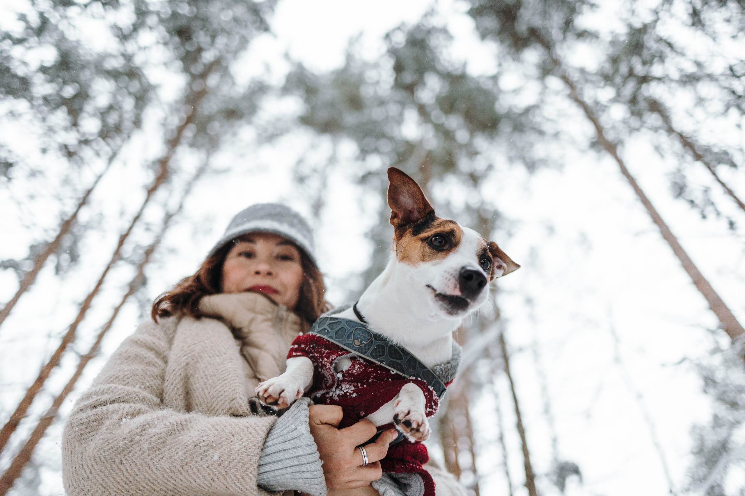 Наталья и Микки. Фотограф — Анималист | Санкт-Петербург