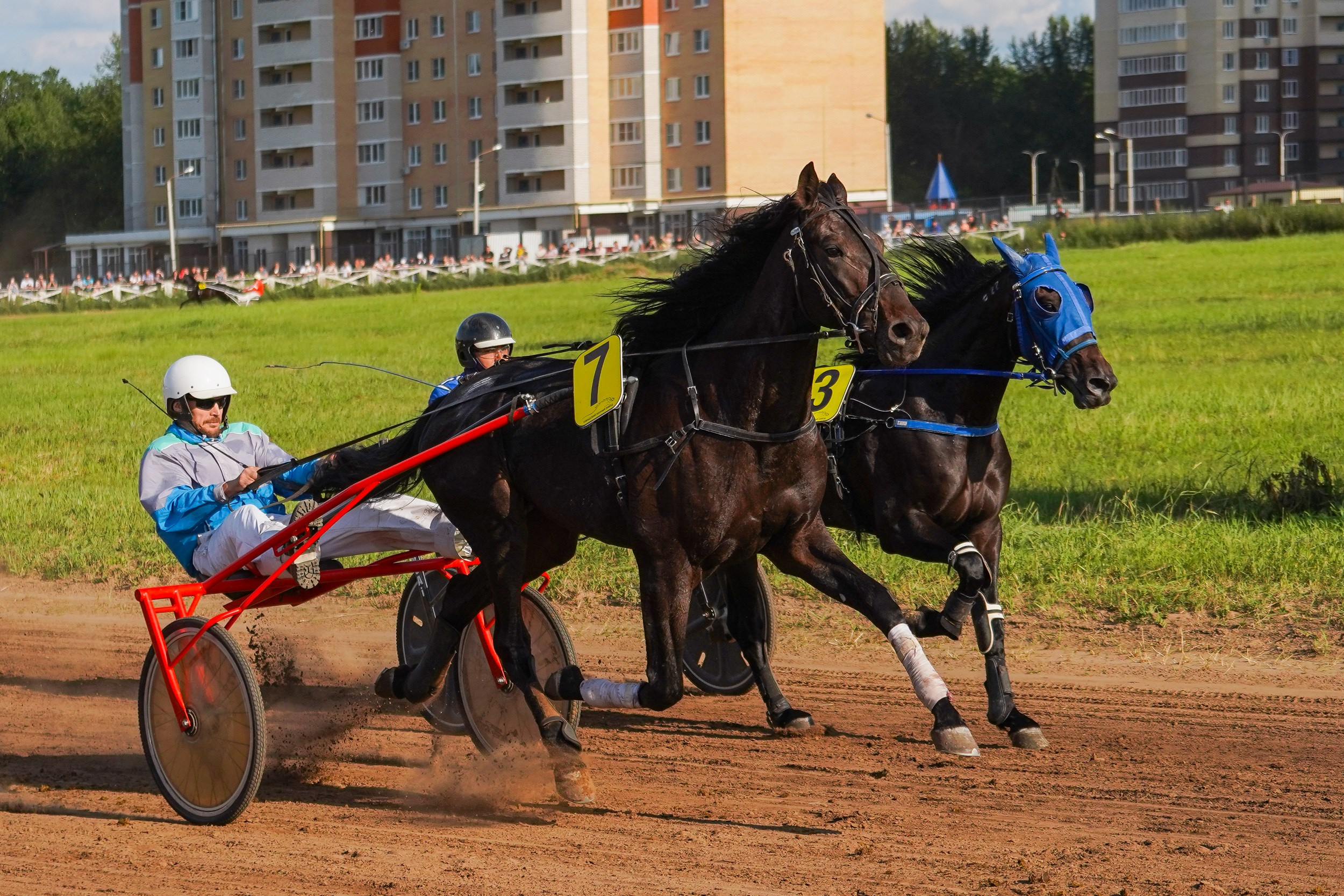 III конные бега на Кубок Главы Чувашии. Фотограф-анималист, портретный фотограф в Чебоксарах Мария Садыкова