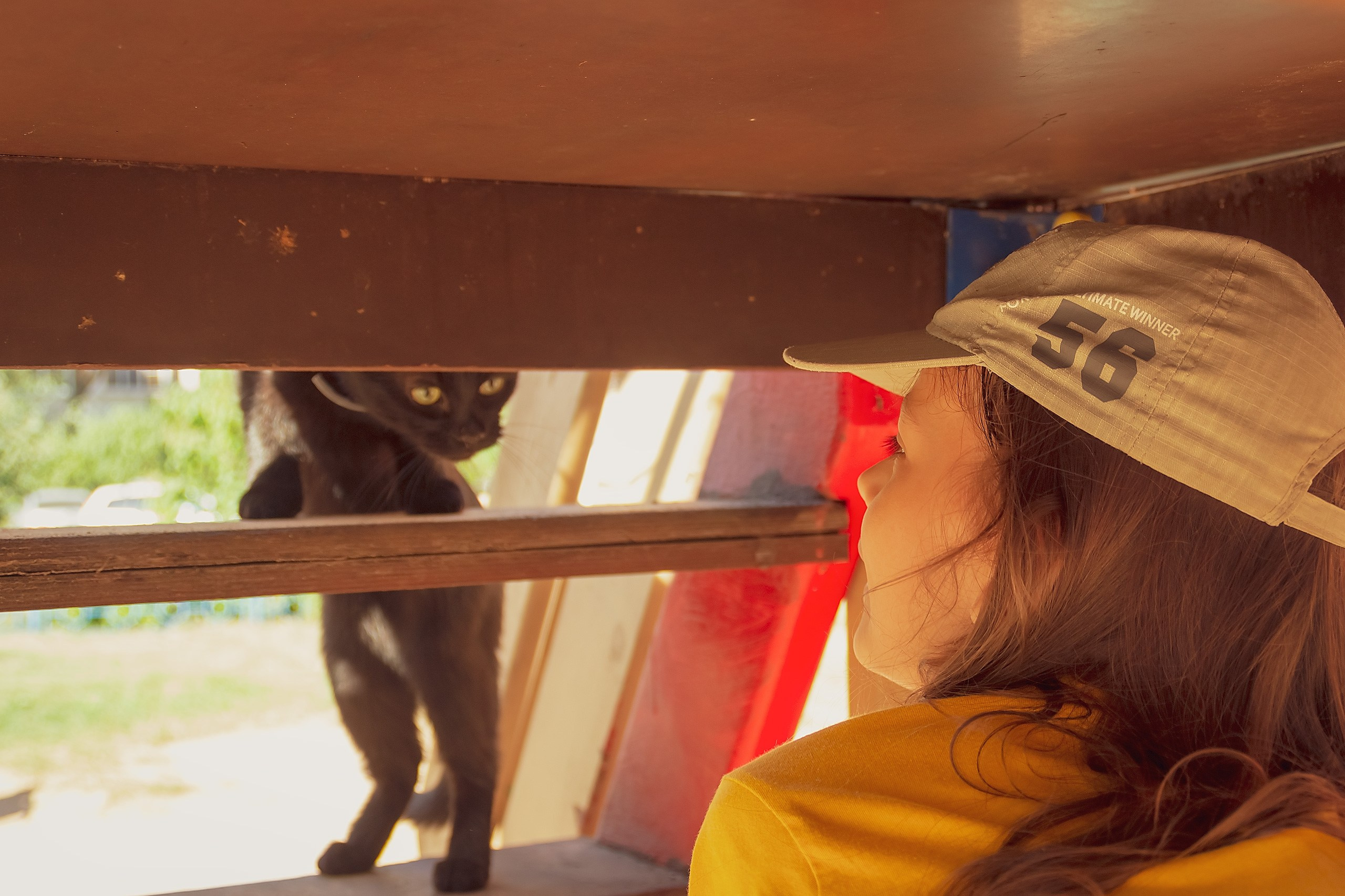 Мост от сердца к сердцу. Аmat Victoria Сuram