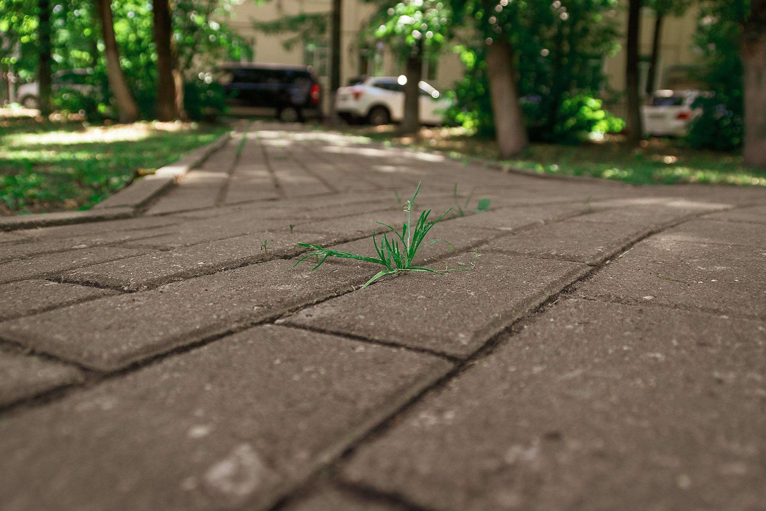 Невозможное возможно!. Аmat Victoria Сuram