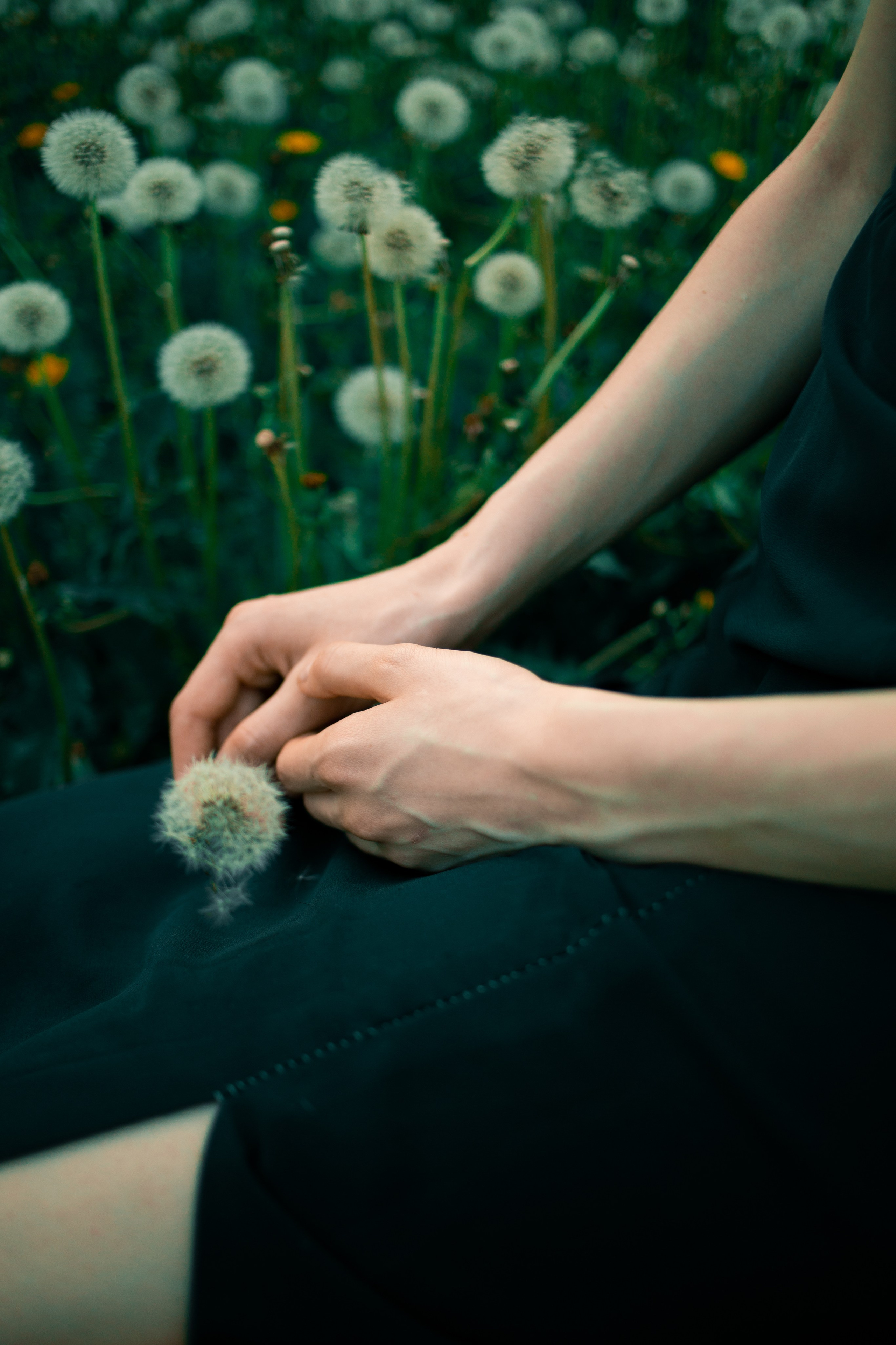 Портфолио. Фотограф Блинова Арина | Санк-Петербург