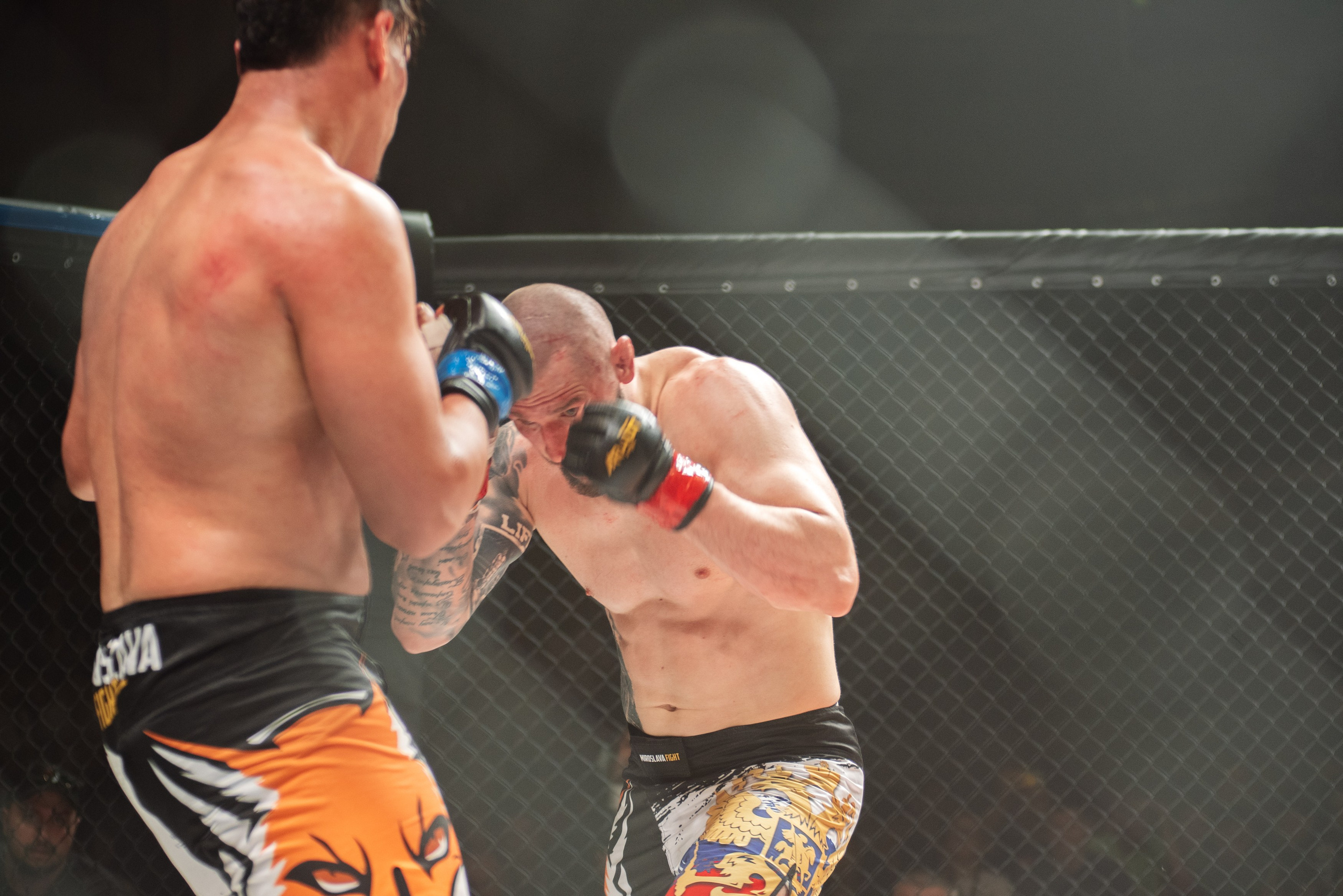 Miroslava Fight