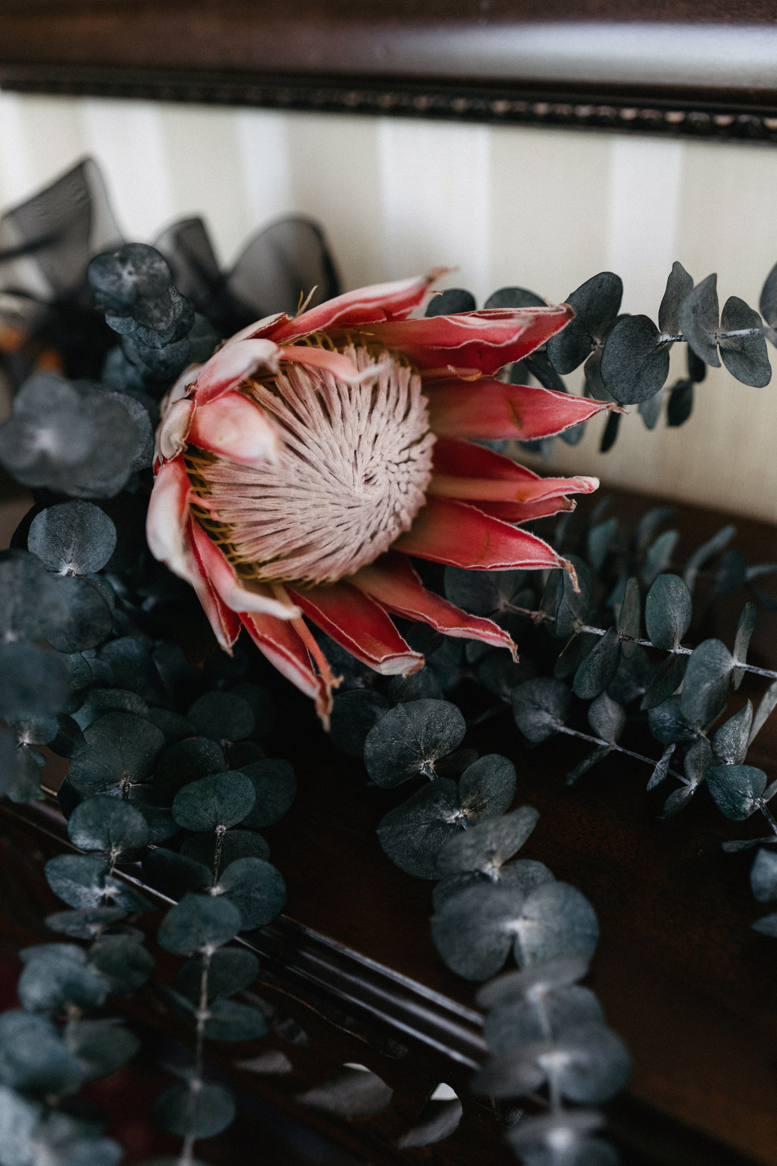 Роман и Дарья. Свадебный фотограф Воронеж Марина Грудинина