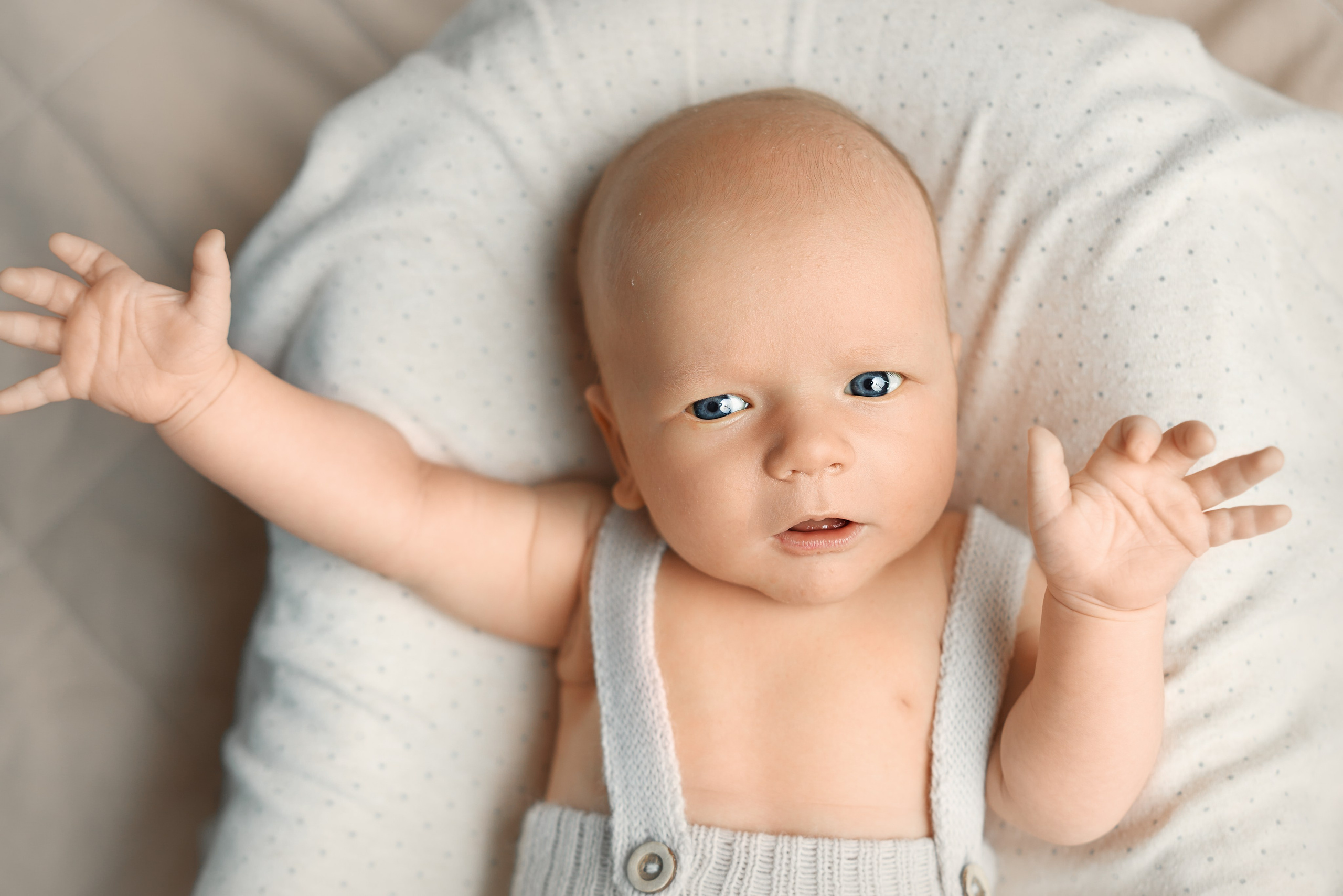 Платон. Фотограф новорожденных во Владивостоке Ромашко Виктория