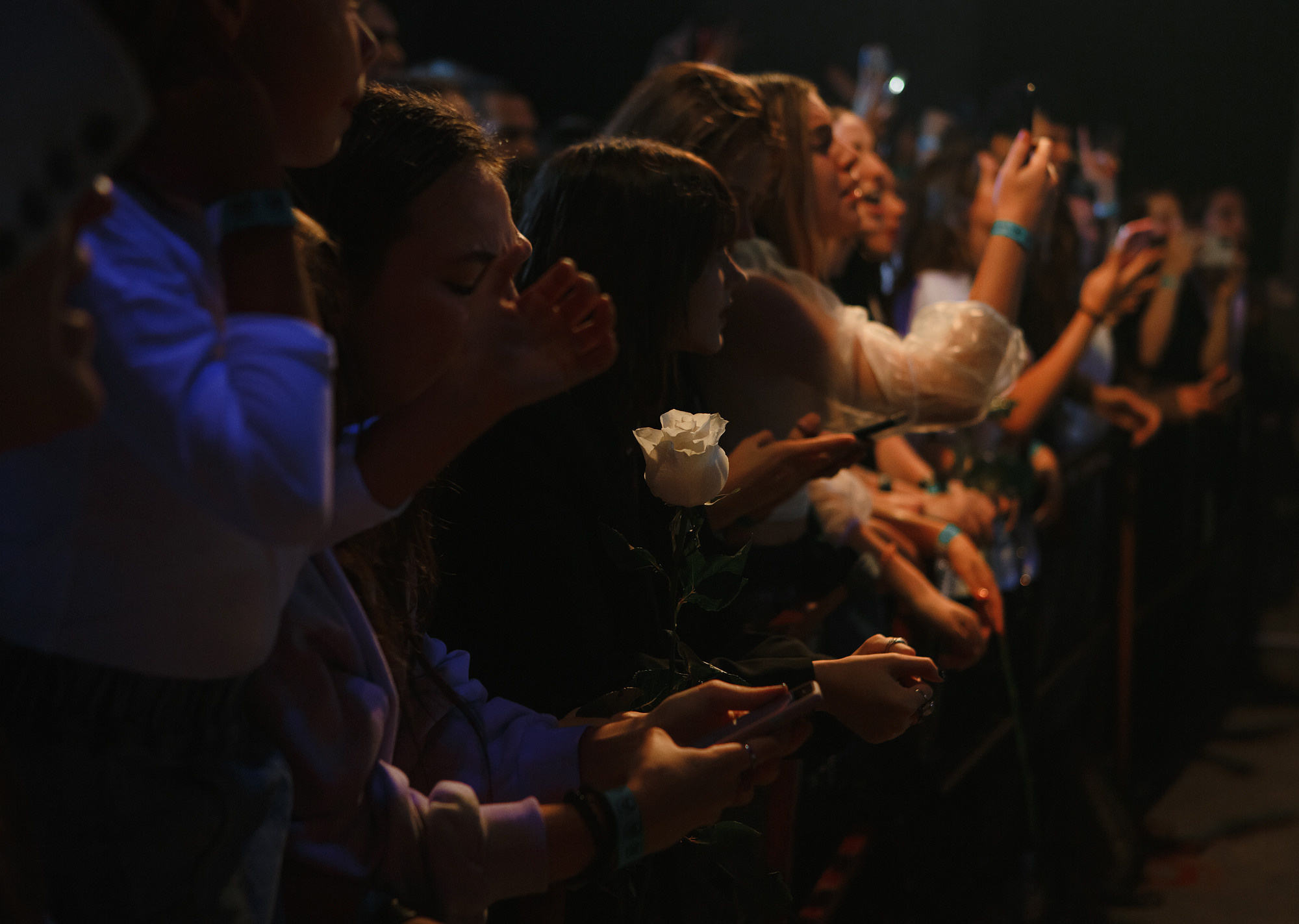 Концерты. ФОТО/ВИДЕО БЬОРН Студия г. Новороссийск