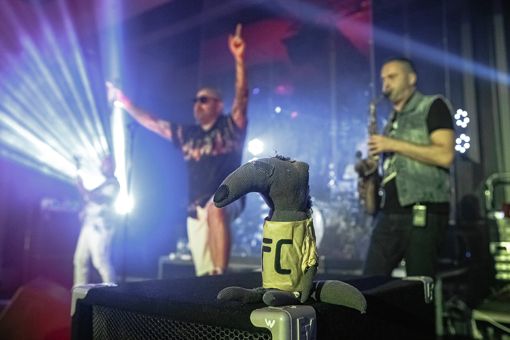 Концерты. ФОТО/ВИДЕО БЬОРН Студия г. Новороссийск