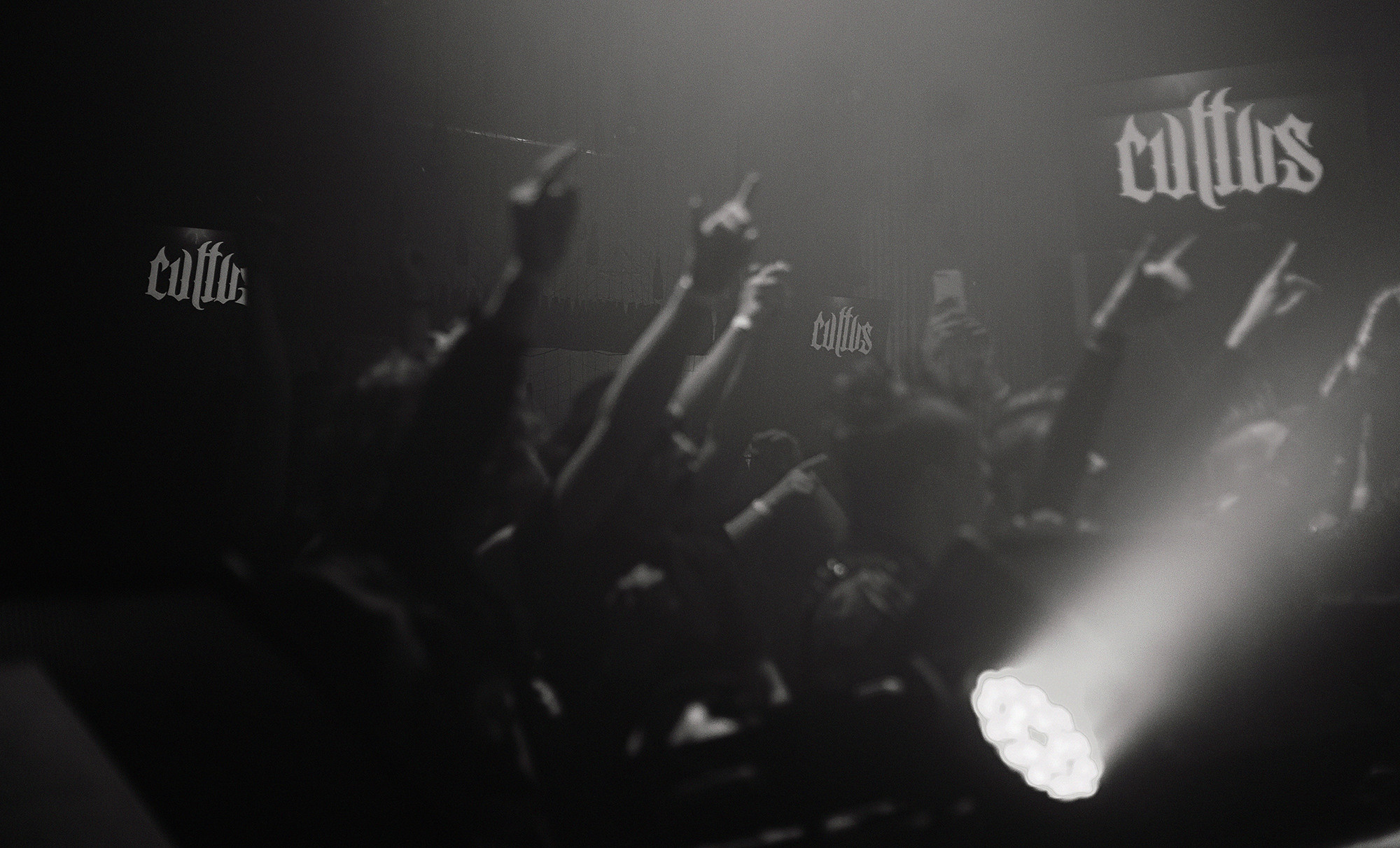 Концерты. ФОТО/ВИДЕО БЬОРН Студия г. Новороссийск