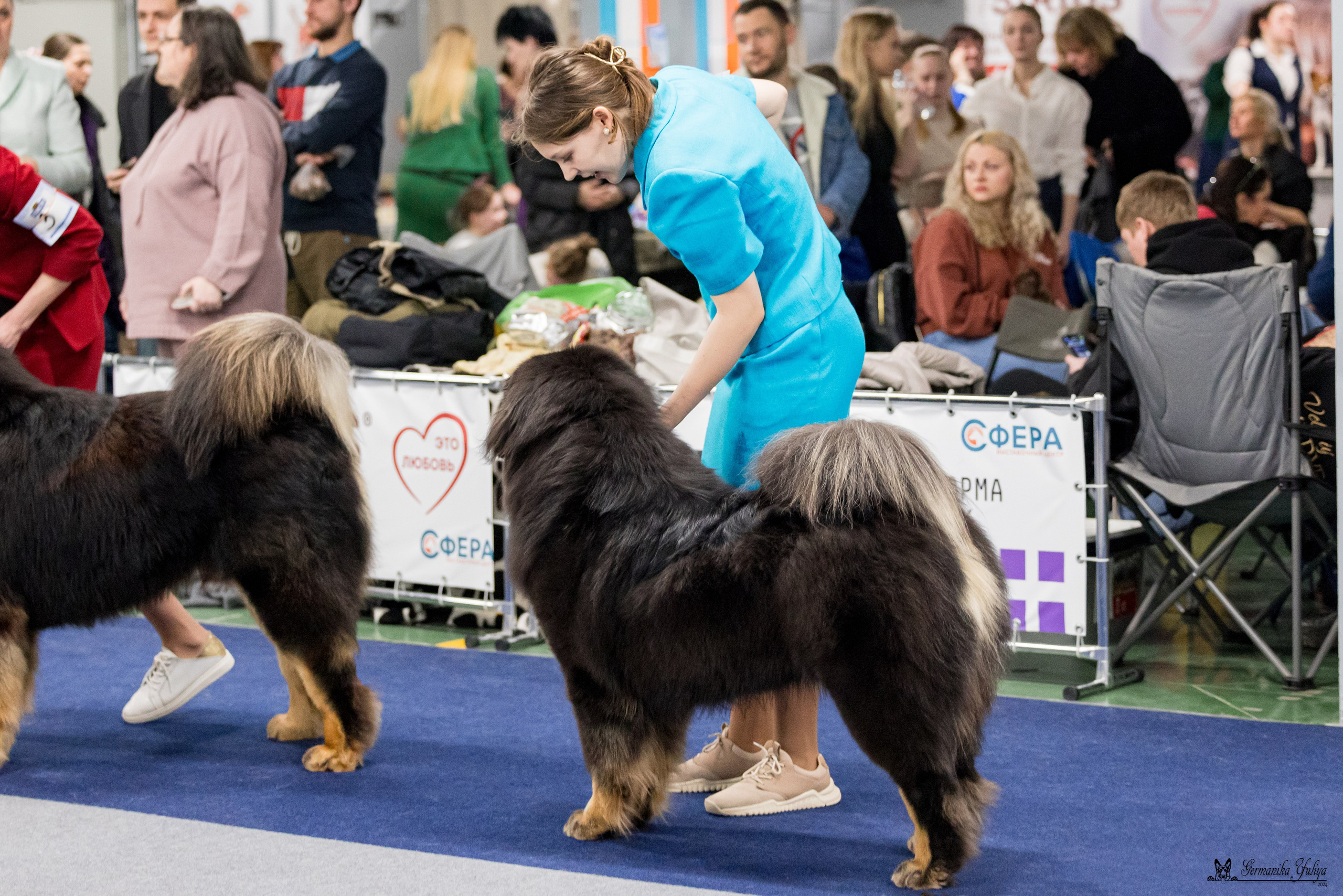 Сфера 28.01. и 4.02.2024. Фотограф-анималист Юлия Германика