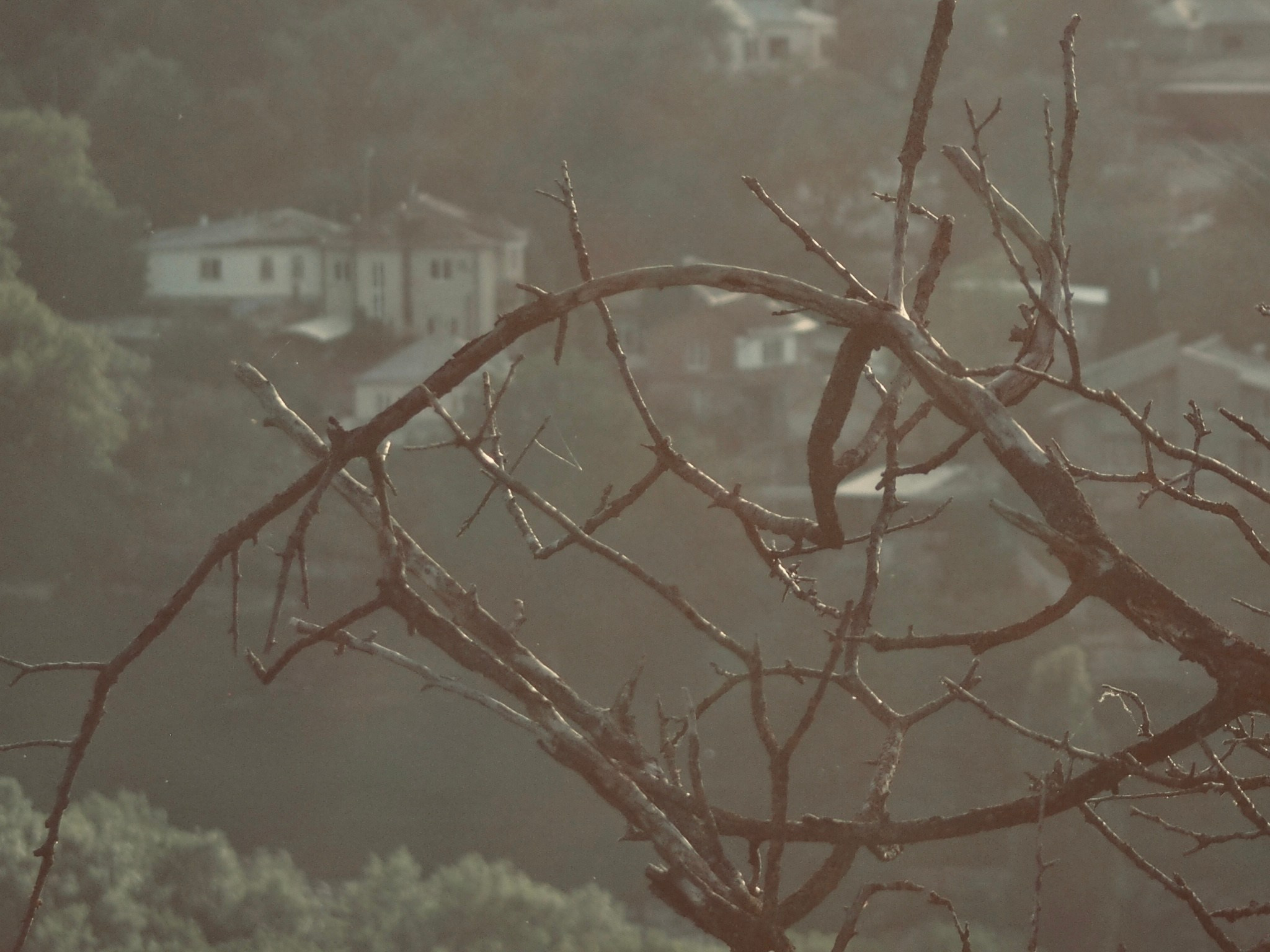 Флора и фауна. Смотри, красота!