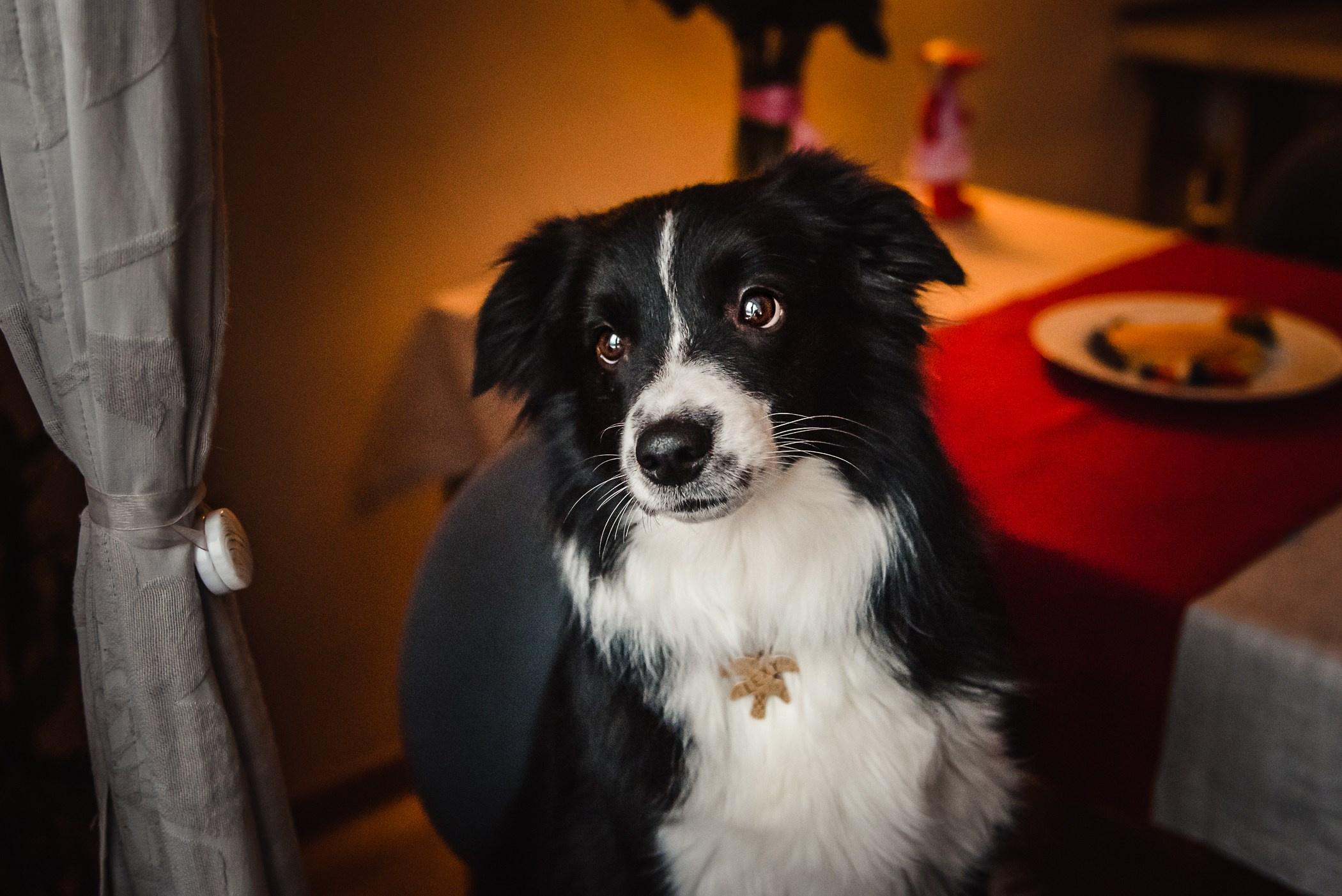 Пижамная вечеринка Тани и Димы. Семейный Фотограф в Москве Ирина Хохлова