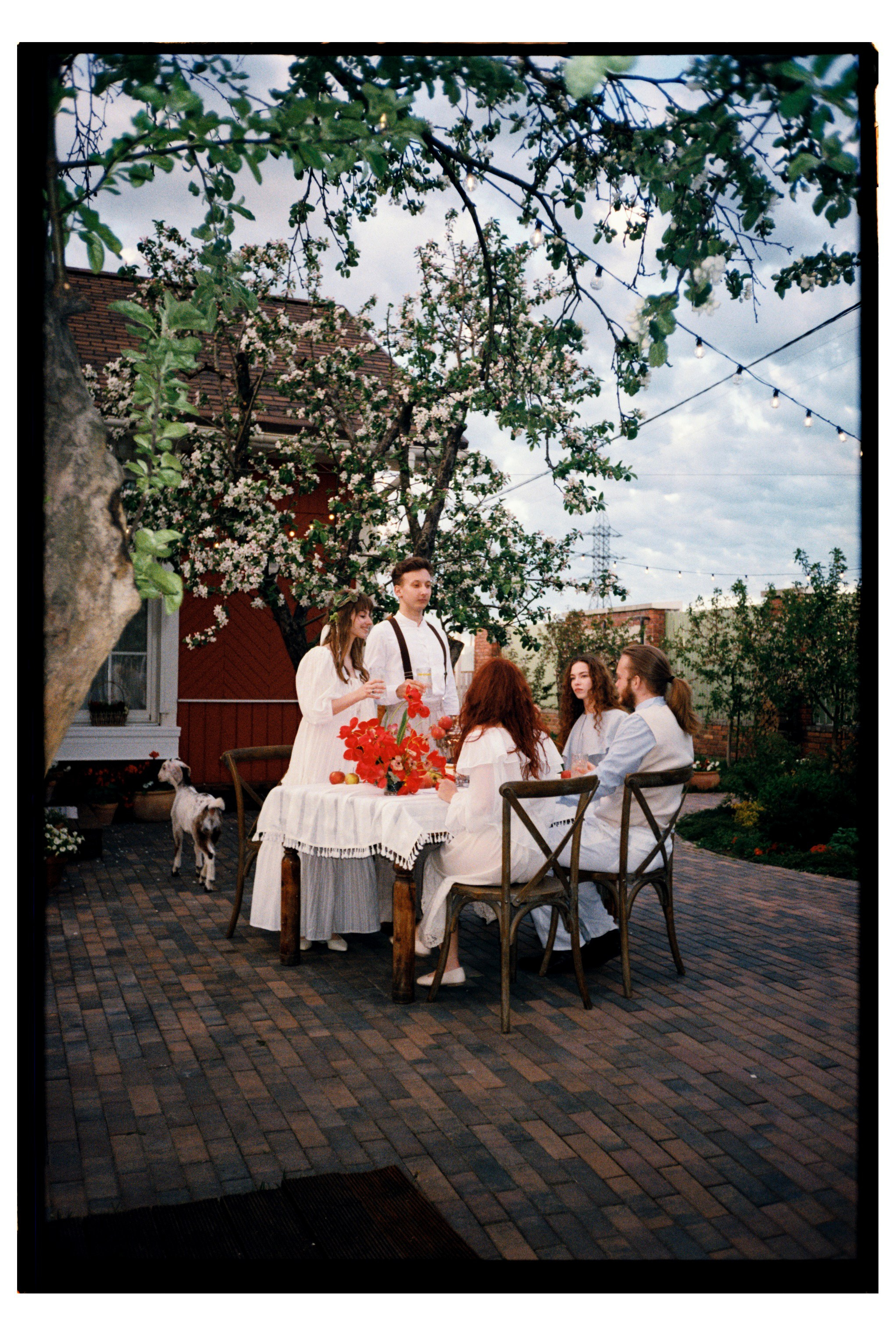 Фото на плёнку. Вера Пьянцева семейный, свадебный и парный фотограф в Санкт-Петербурге